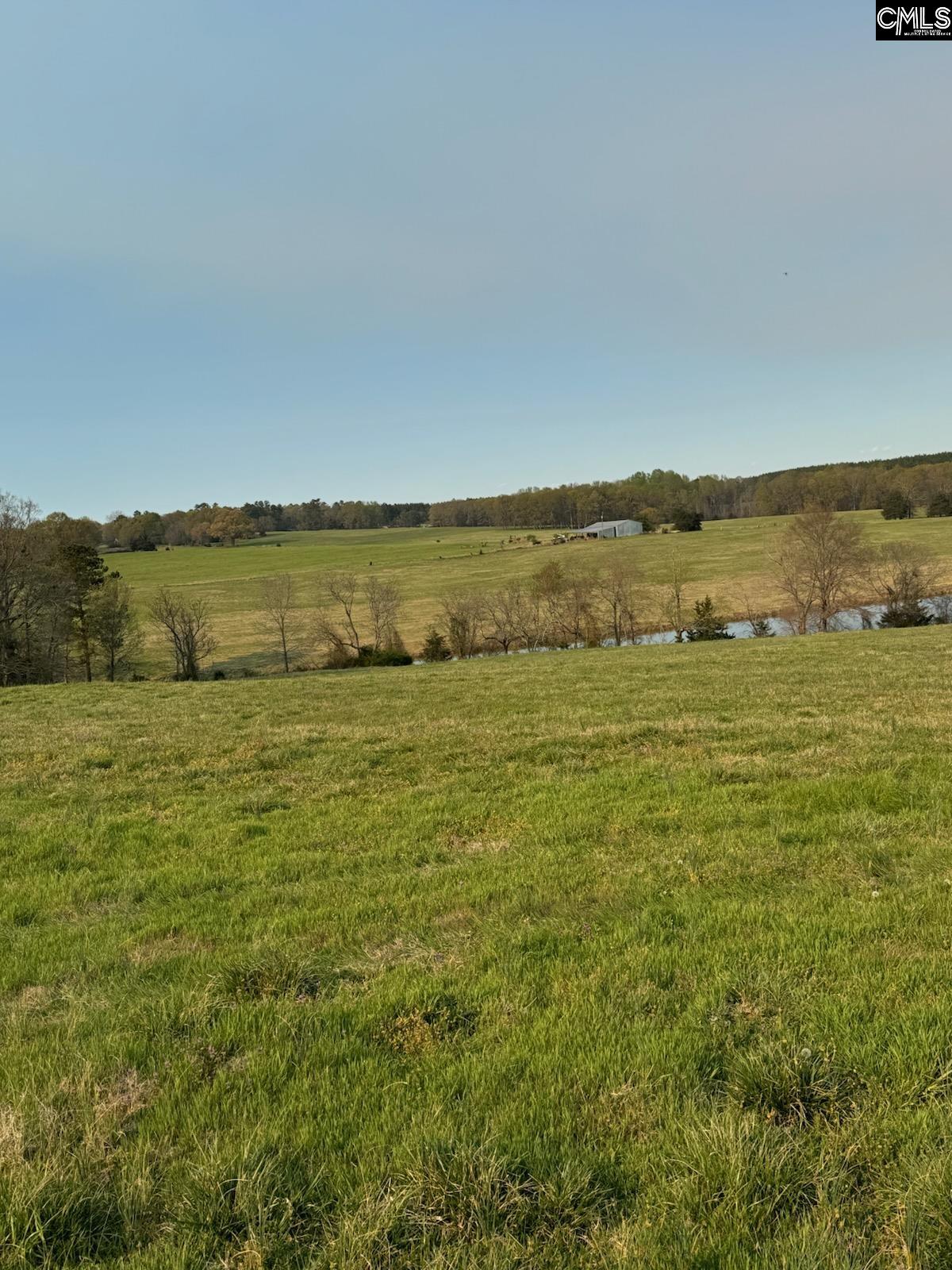 542 Pea Ridge Highway Jonesville, SC 29353