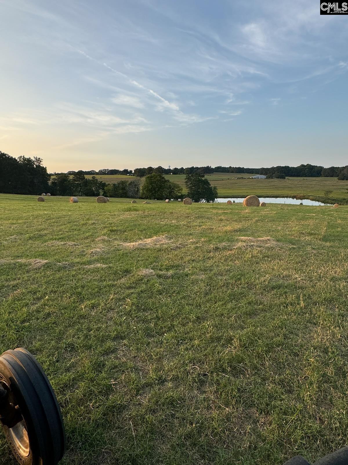 542 Pea Ridge Highway Jonesville, SC 29353