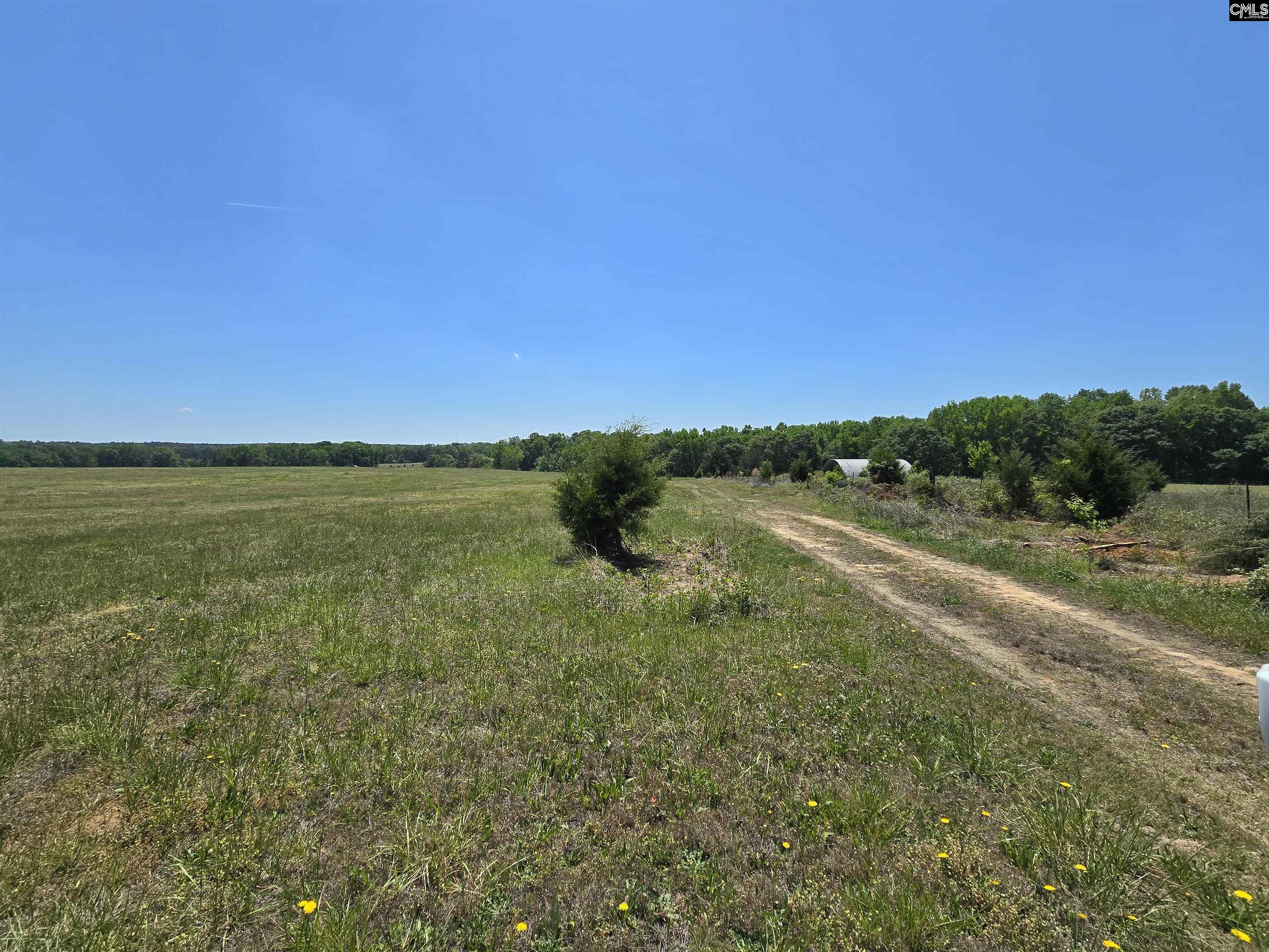 542 Pea Ridge Highway Jonesville, SC 29353