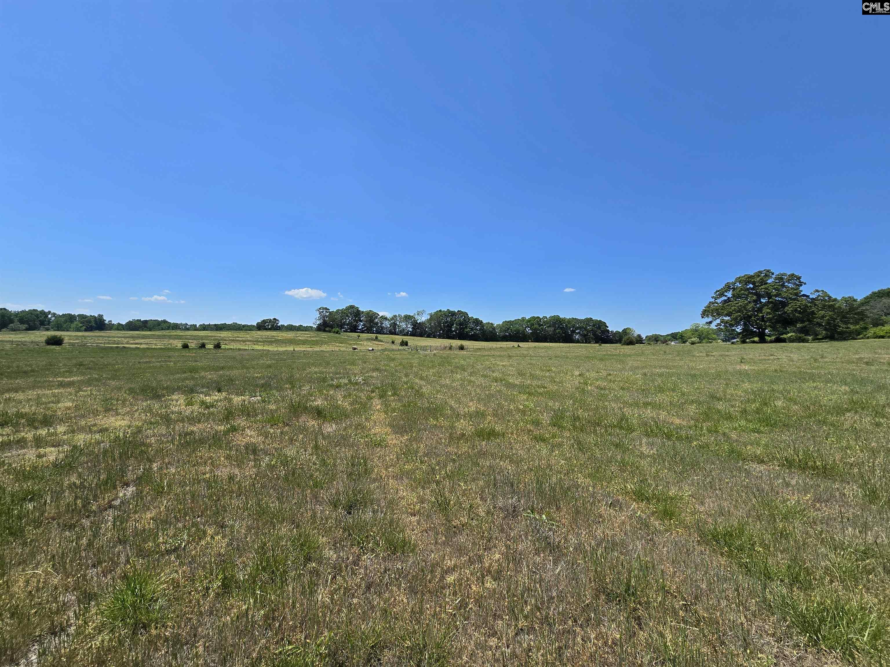 542 Pea Ridge Highway Jonesville, SC 29353
