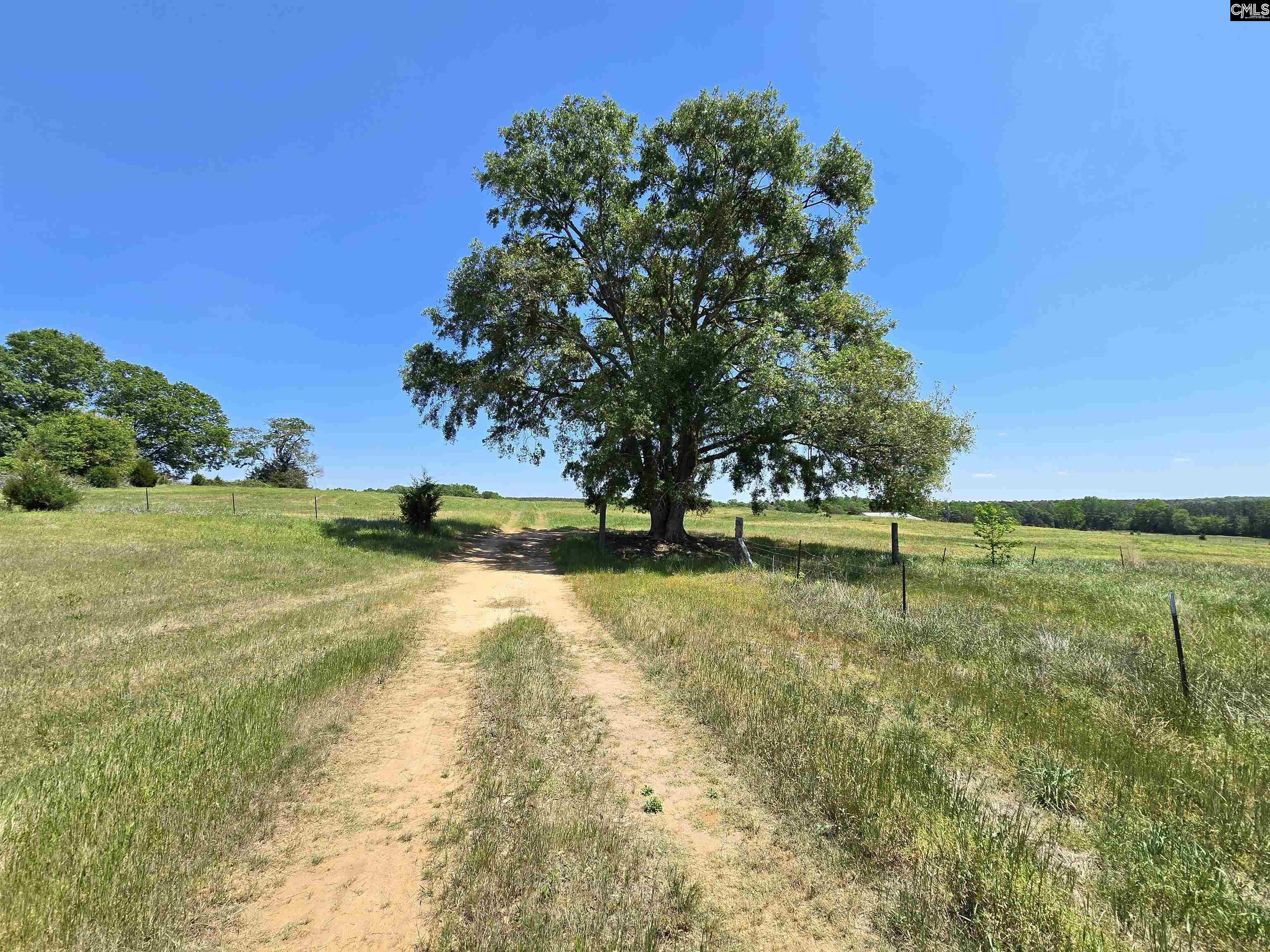 542 Pea Ridge Highway Jonesville, SC 29353