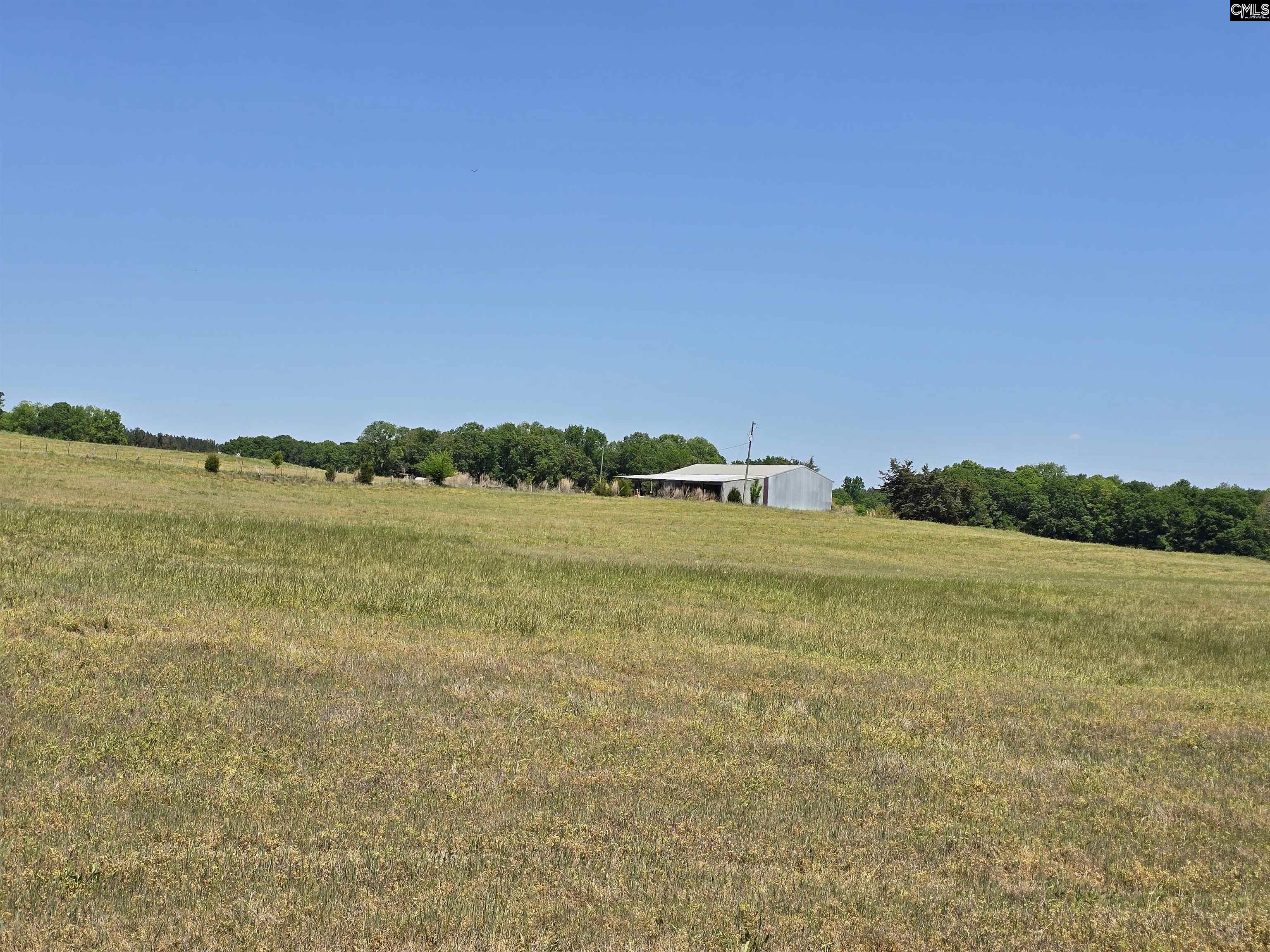 542 Pea Ridge Highway Jonesville, SC 29353