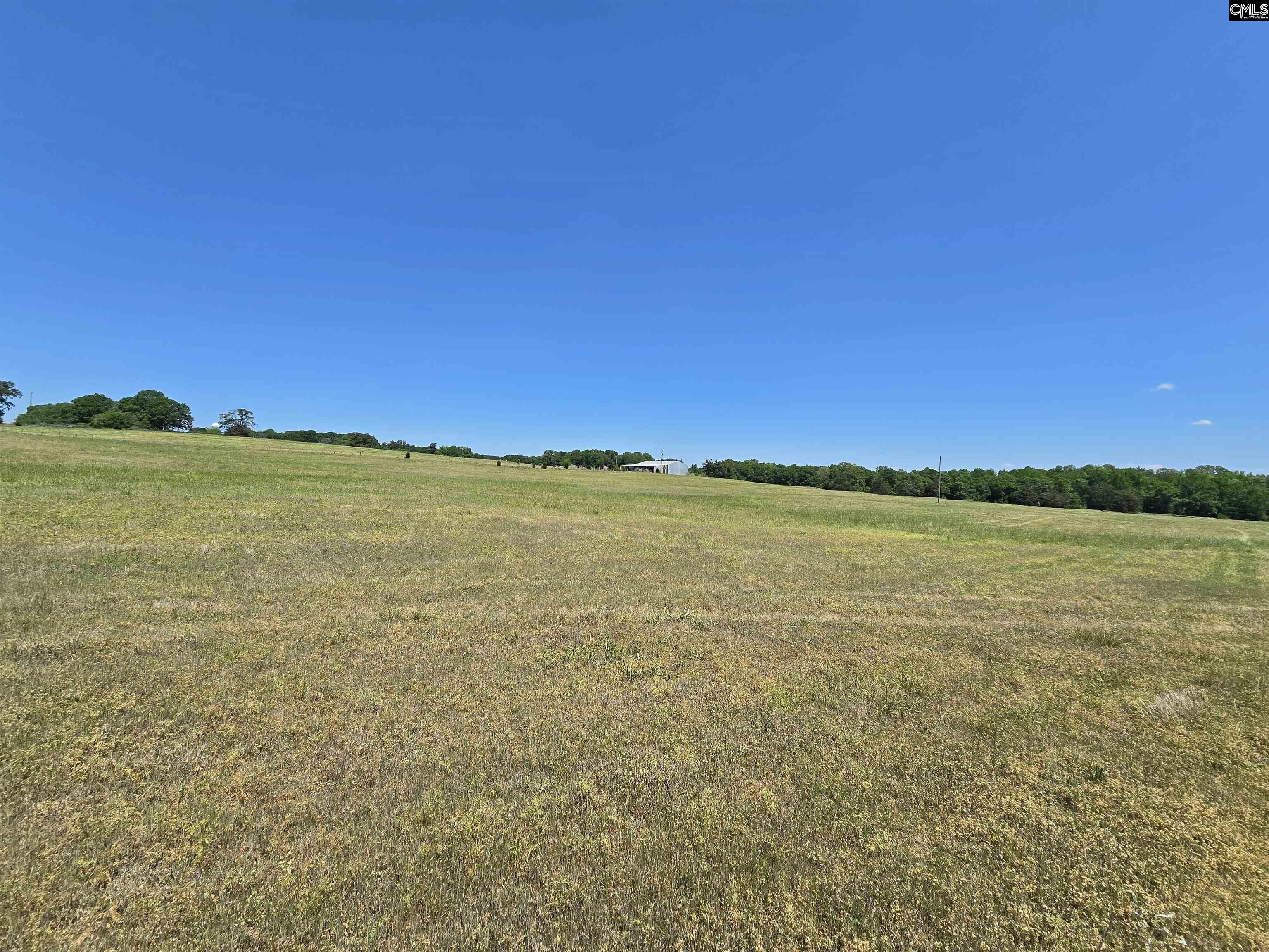 542 Pea Ridge Highway Jonesville, SC 29353