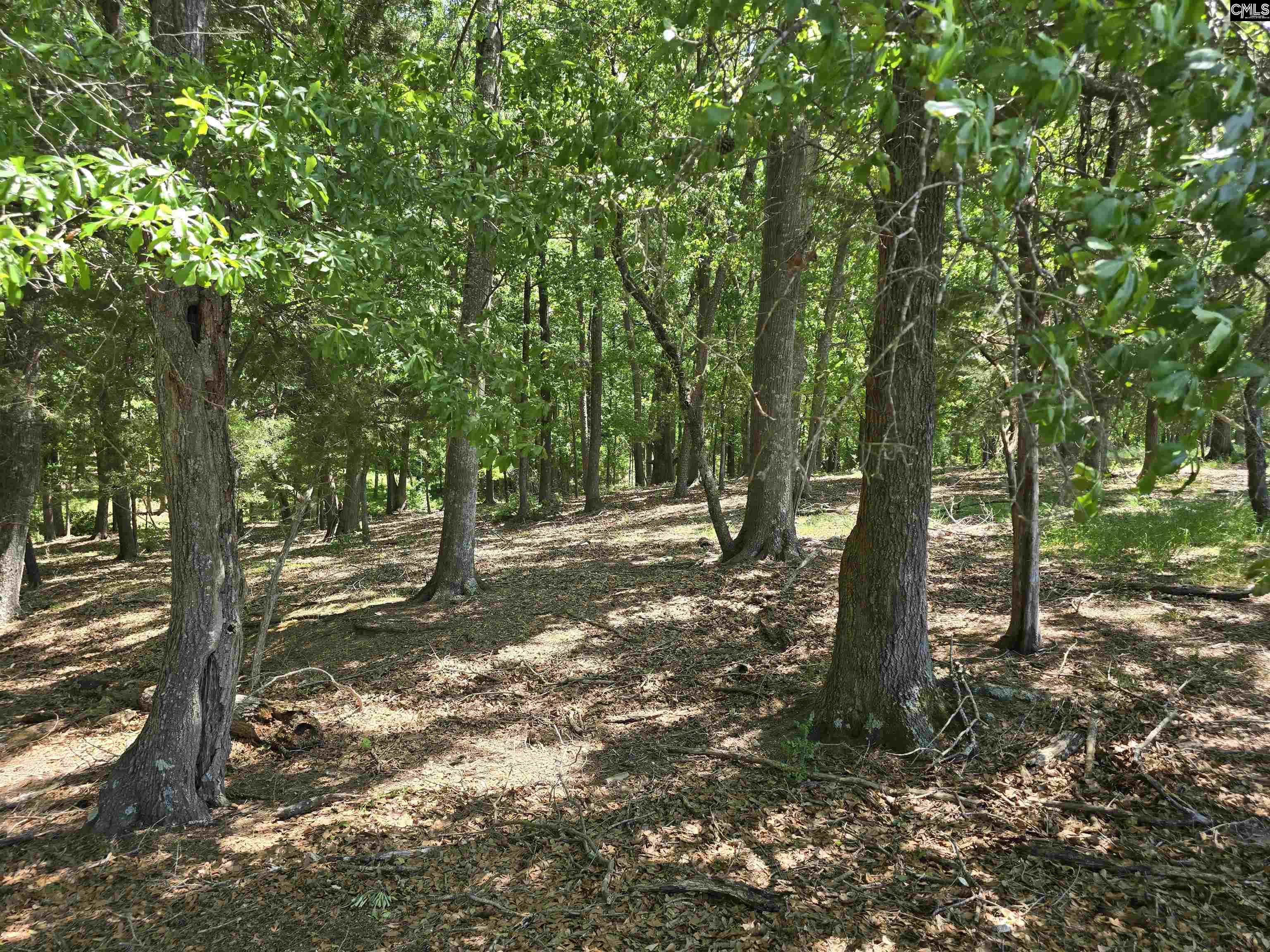 542 Pea Ridge Highway Jonesville, SC 29353