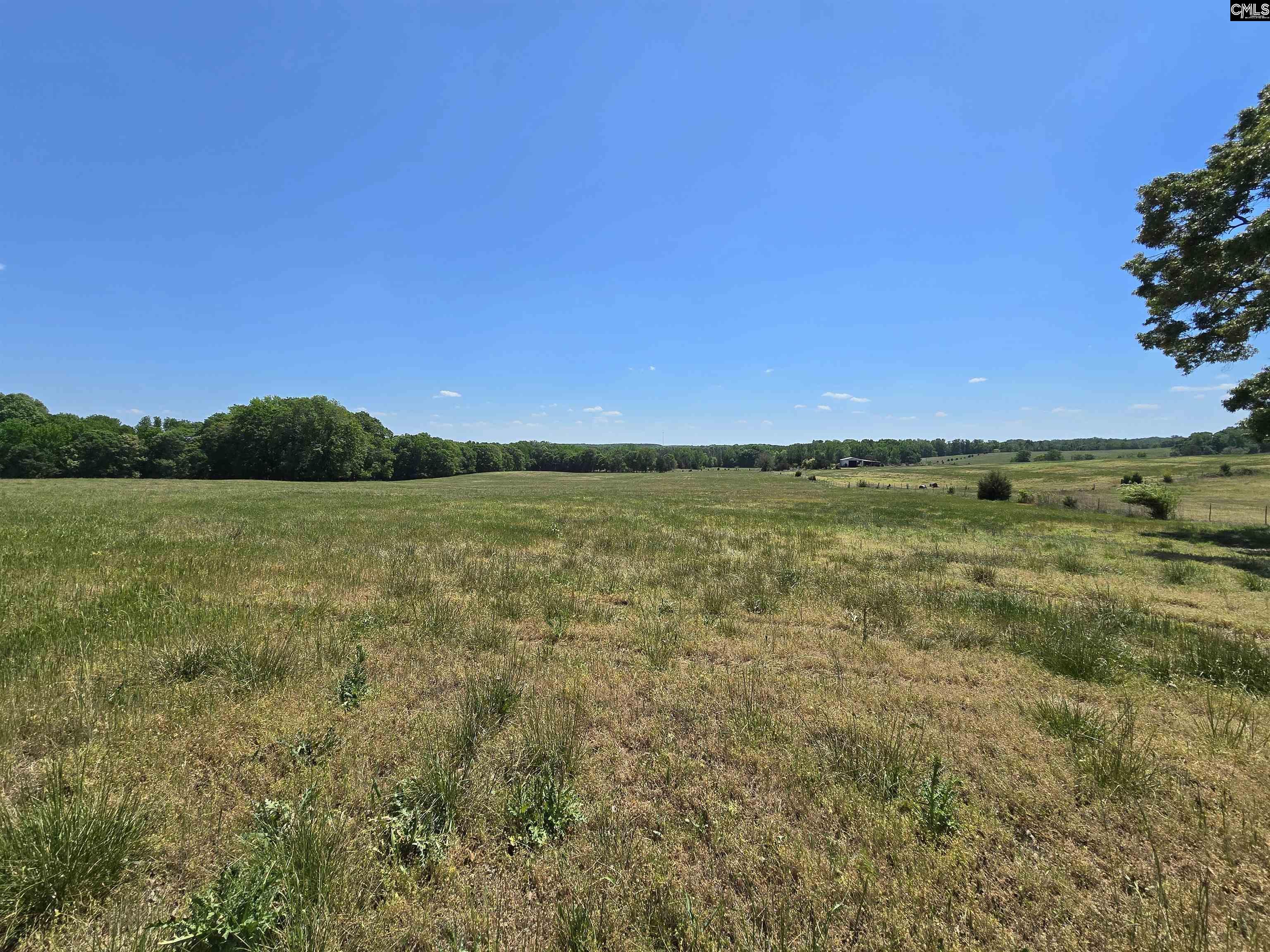 542 Pea Ridge Highway Jonesville, SC 29353
