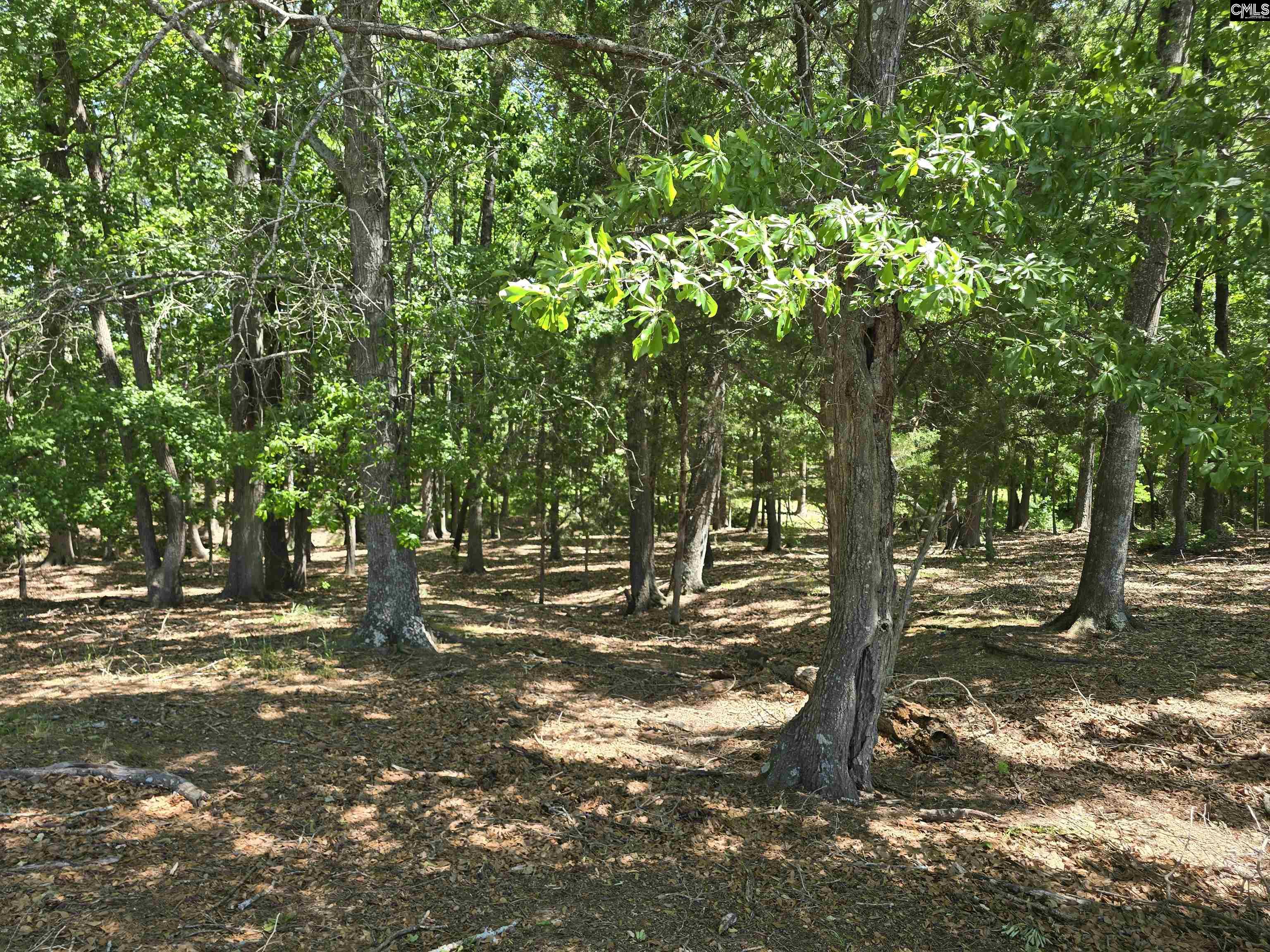 542 Pea Ridge Highway Jonesville, SC 29353