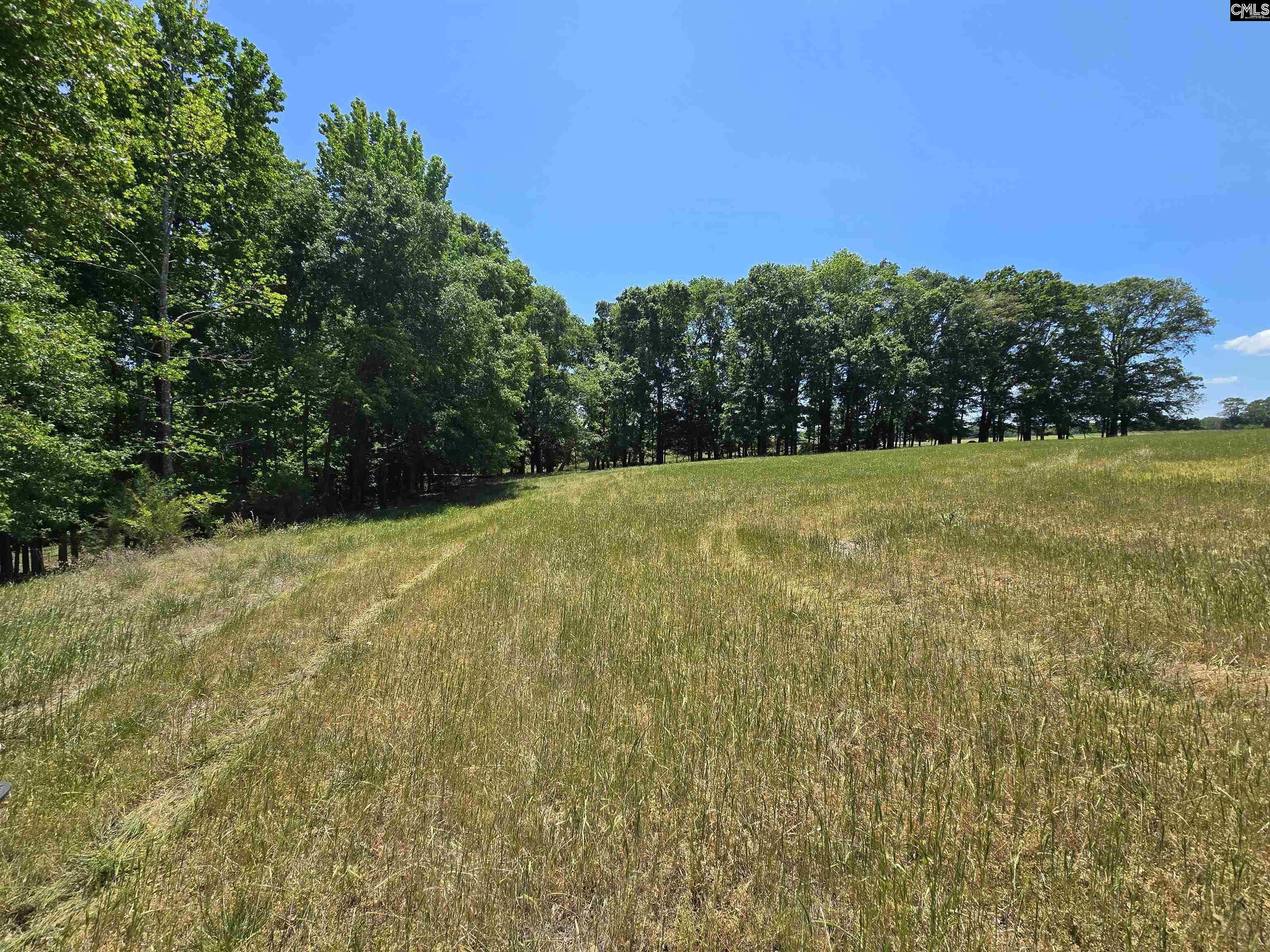 542 Pea Ridge Highway Jonesville, SC 29353