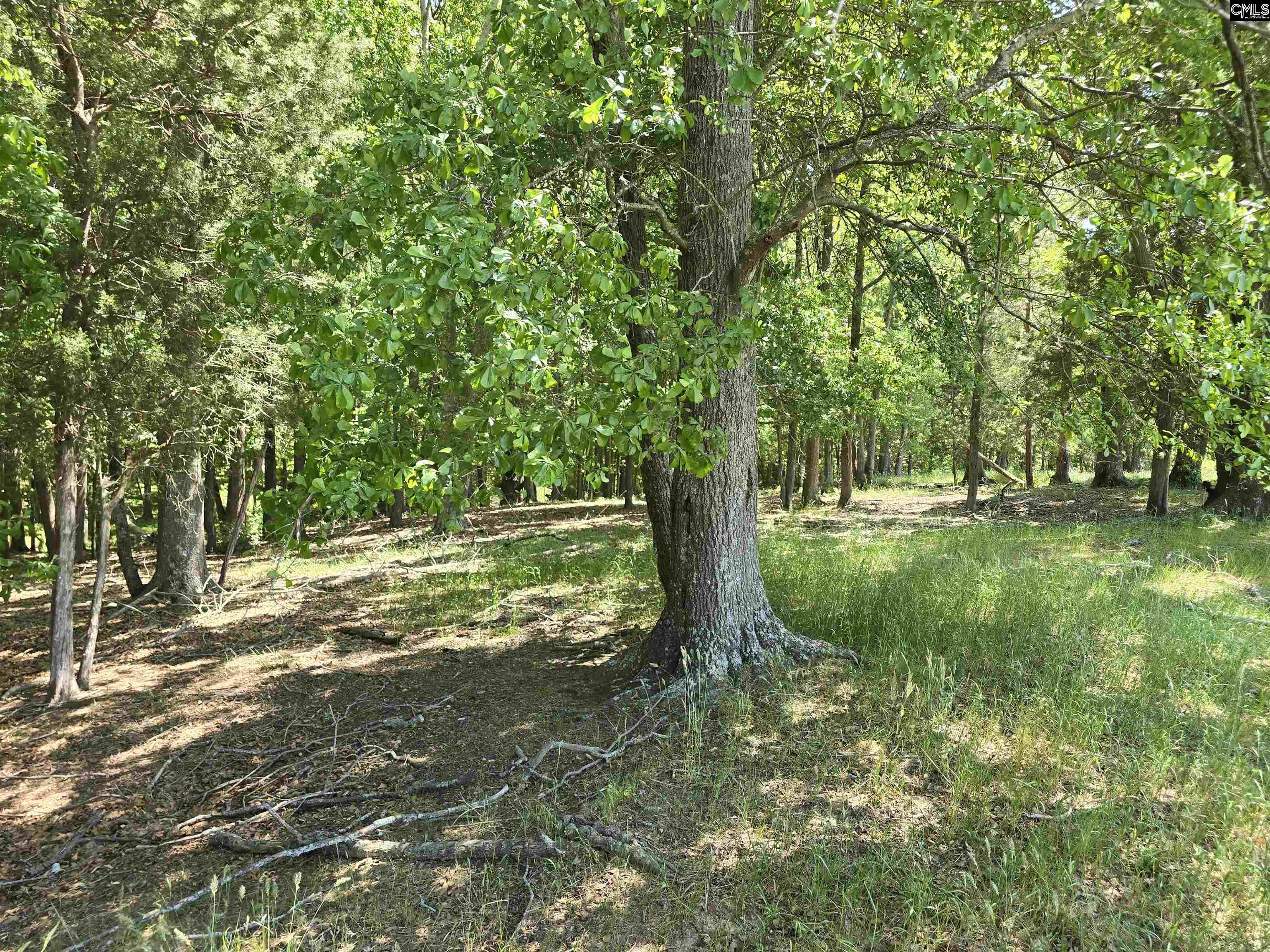 542 Pea Ridge Highway Jonesville, SC 29353