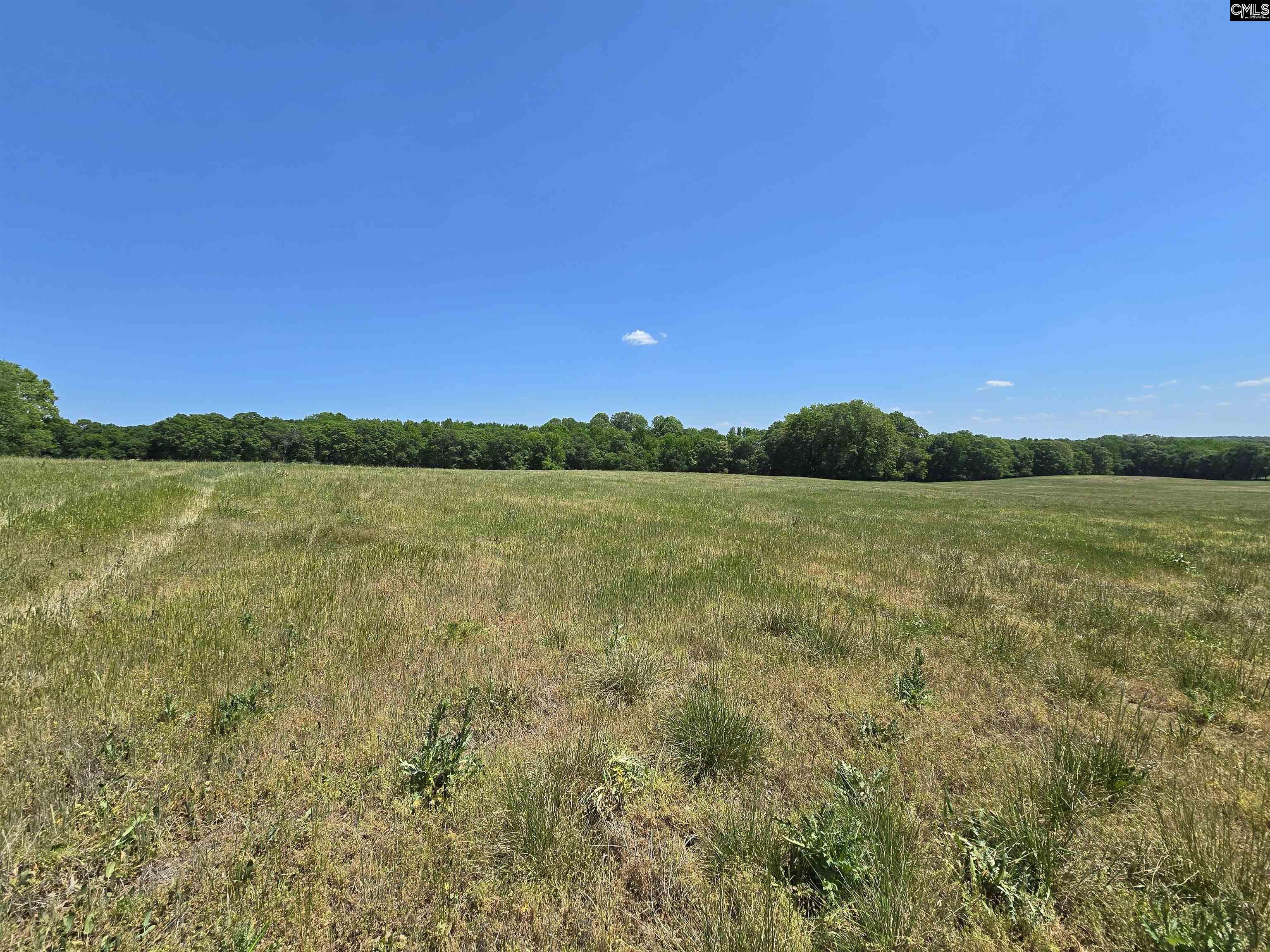 542 Pea Ridge Highway Jonesville, SC 29353