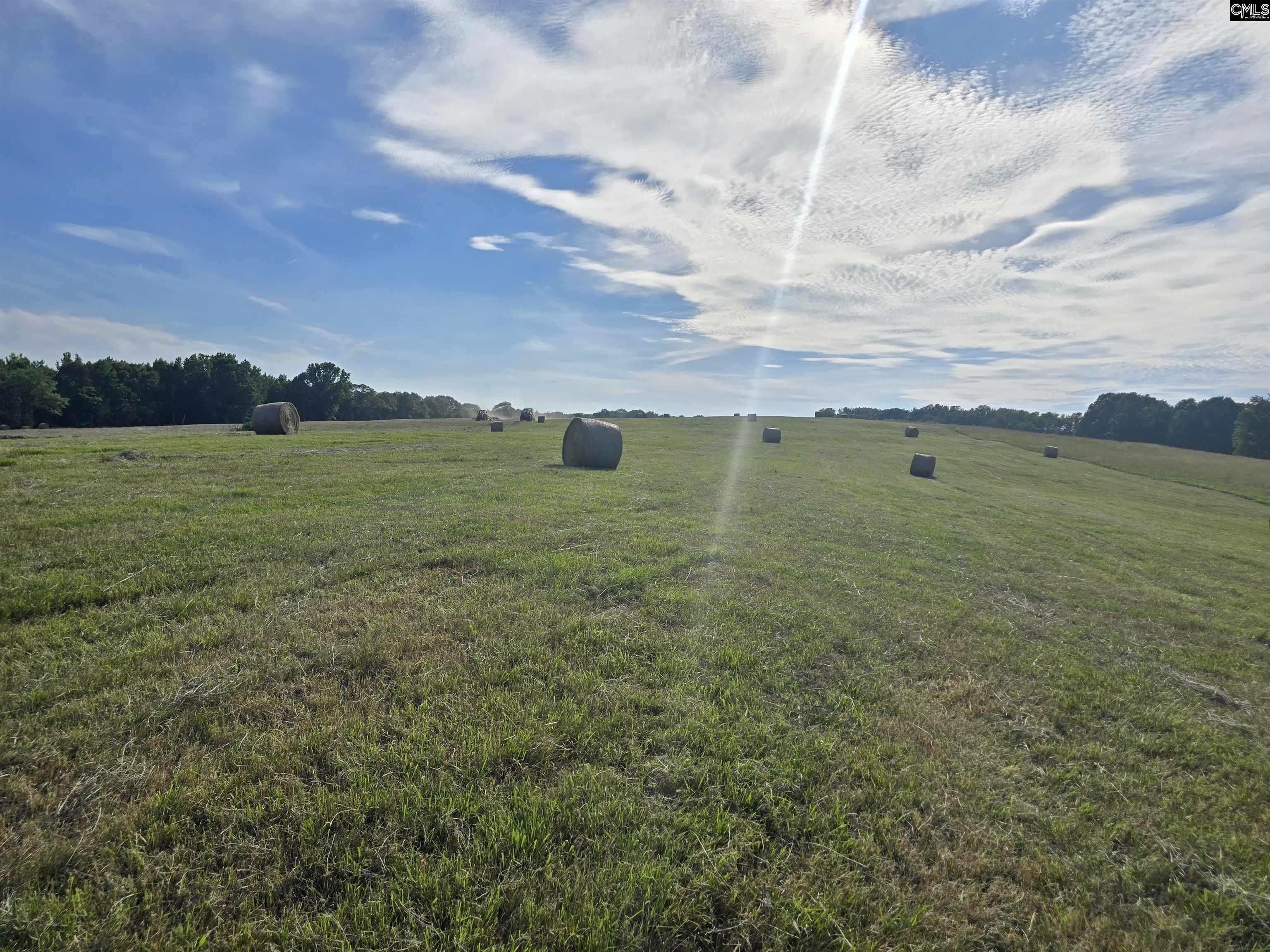 542 Pea Ridge Highway Jonesville, SC 29353