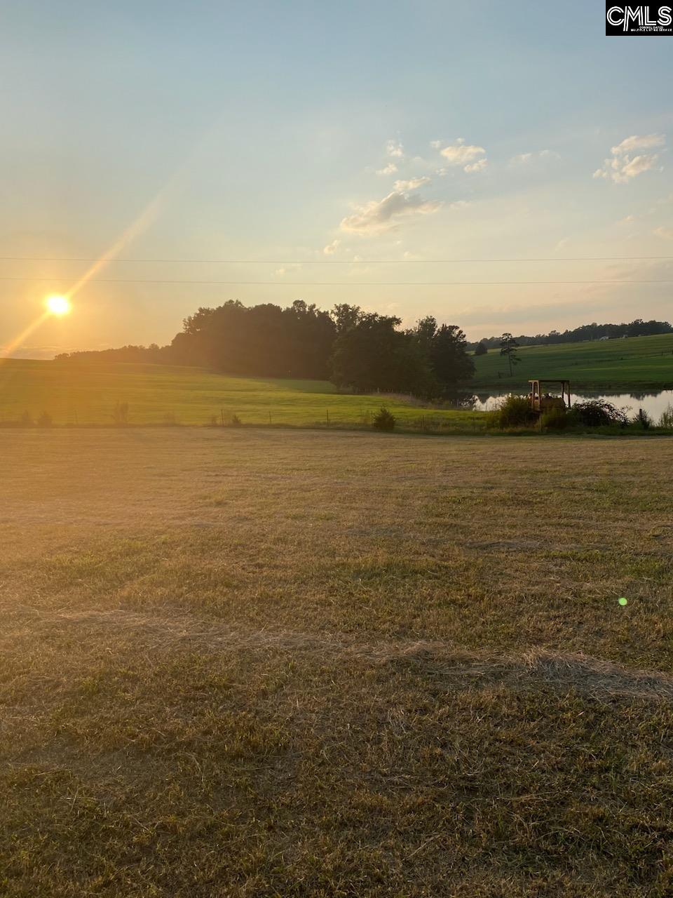542 Pea Ridge Highway Jonesville, SC 29353