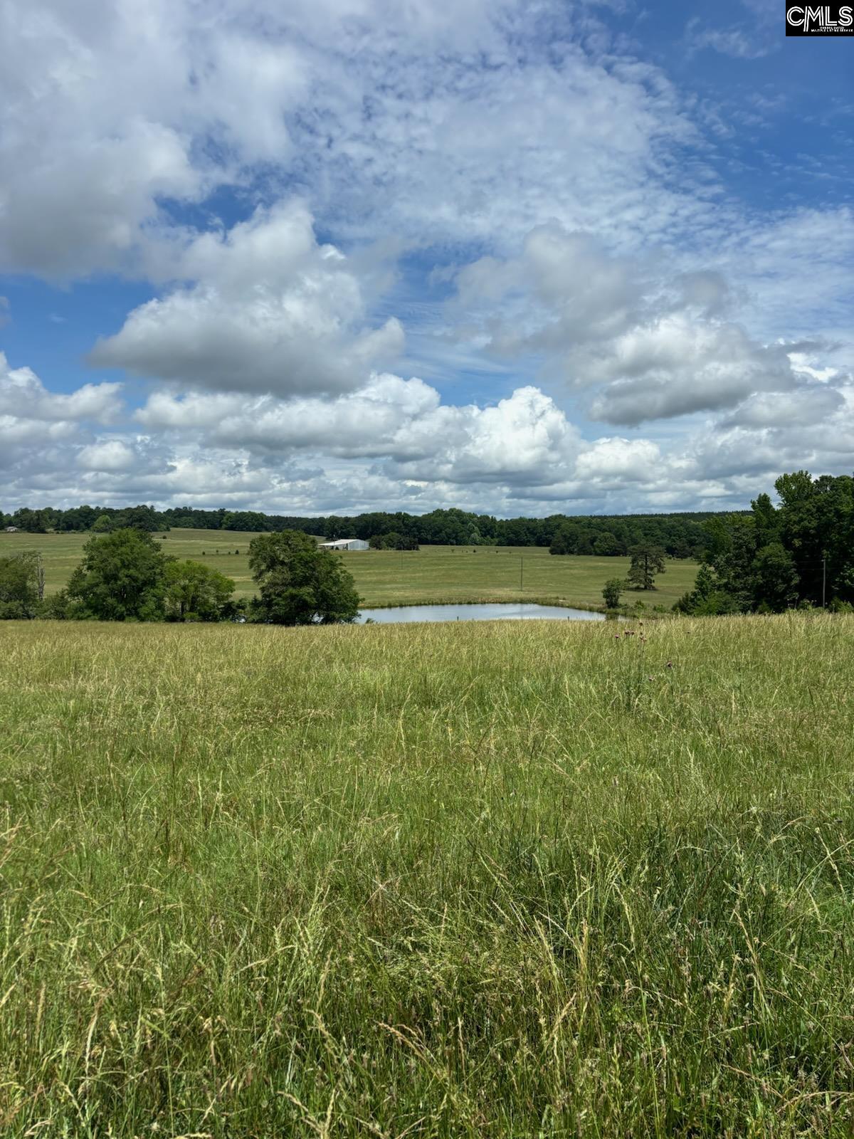 542 Pea Ridge Highway Jonesville, SC 29353