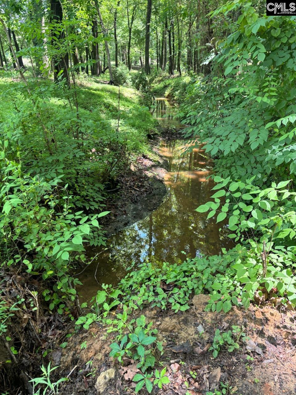 542 Pea Ridge Highway Jonesville, SC 29353