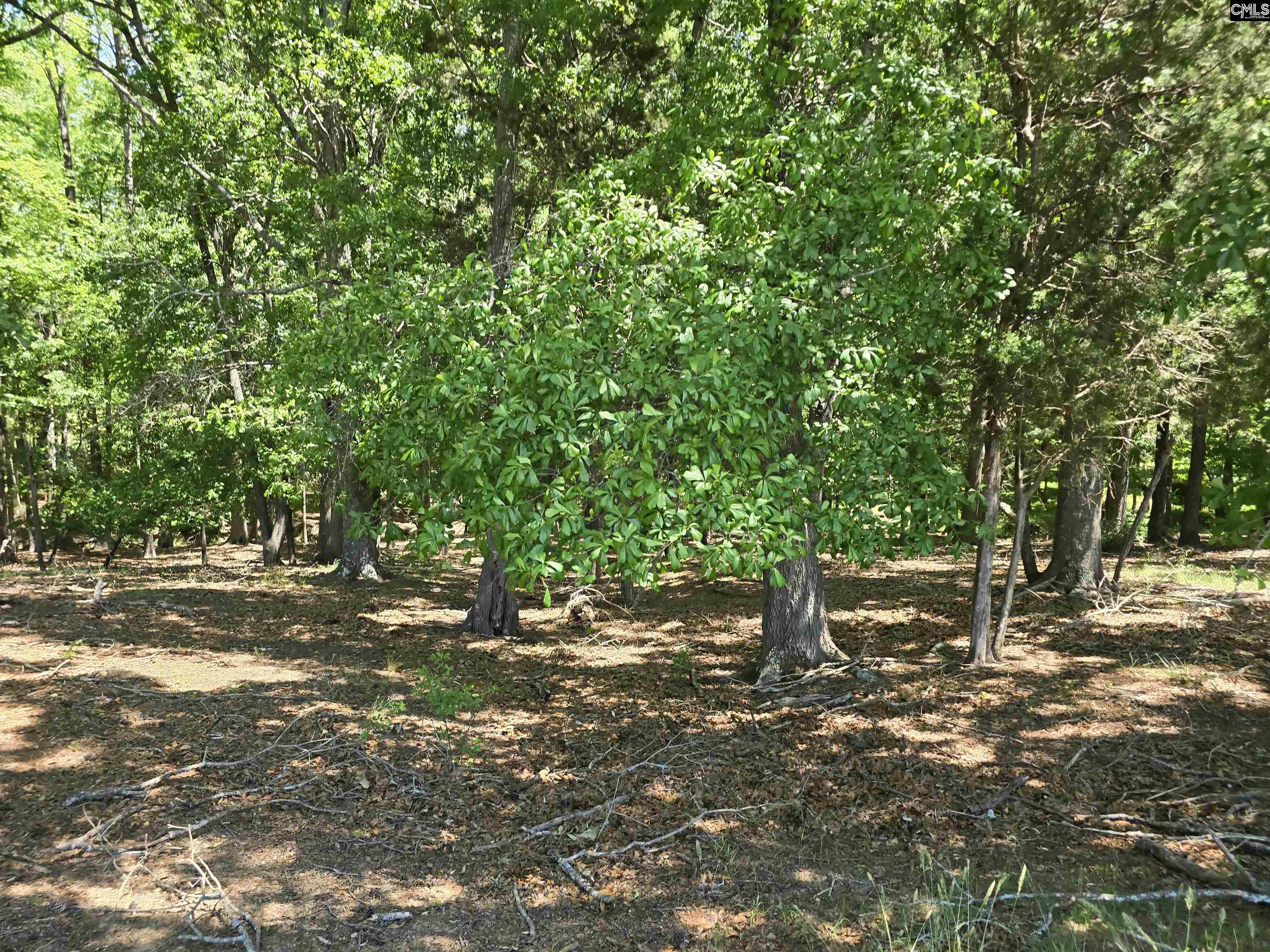 542 Pea Ridge Highway Jonesville, SC 29353