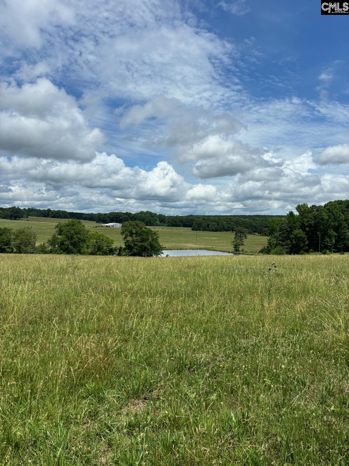 542 Pea Ridge Highway Jonesville, SC 29353