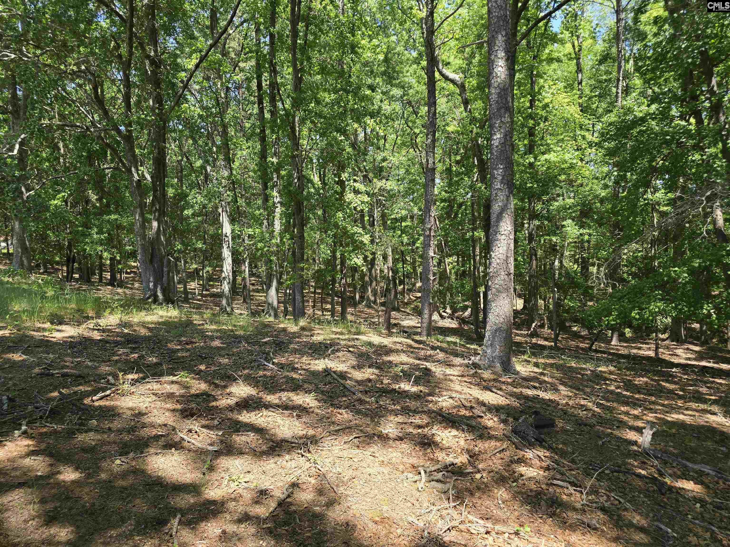 542 Pea Ridge Highway Jonesville, SC 29353