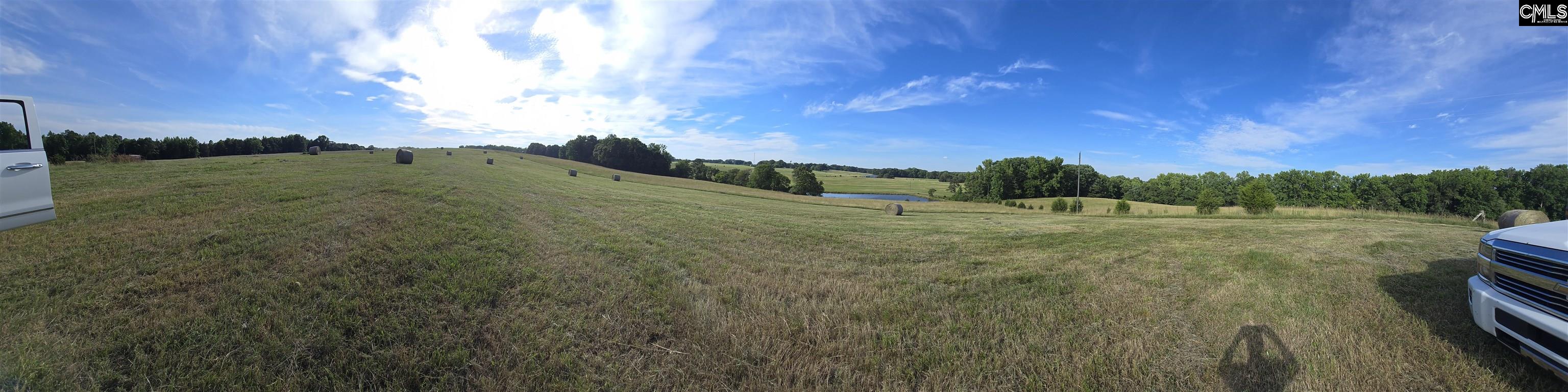 542 Pea Ridge Highway Jonesville, SC 29353