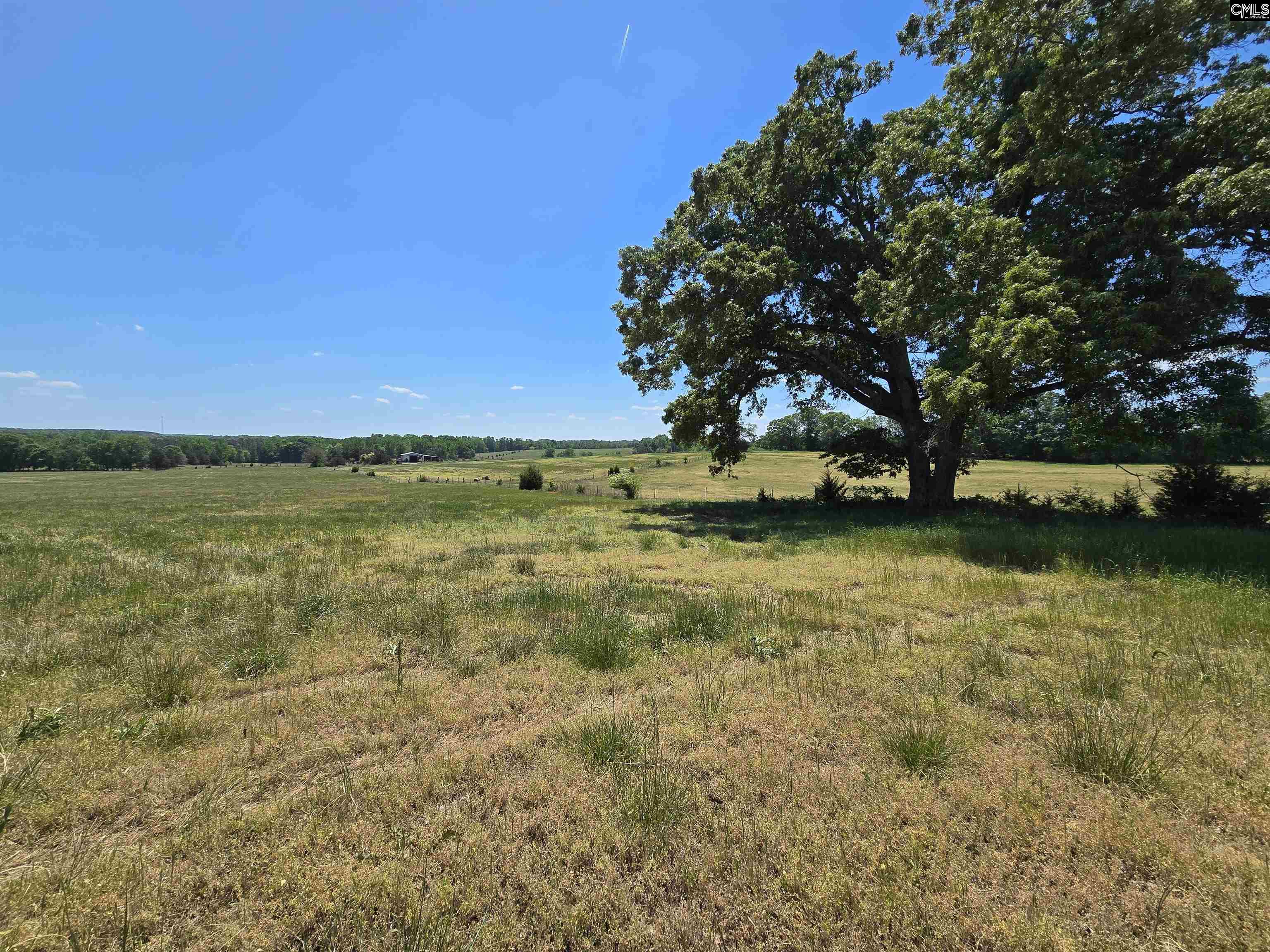 542 Pea Ridge Highway Jonesville, SC 29353