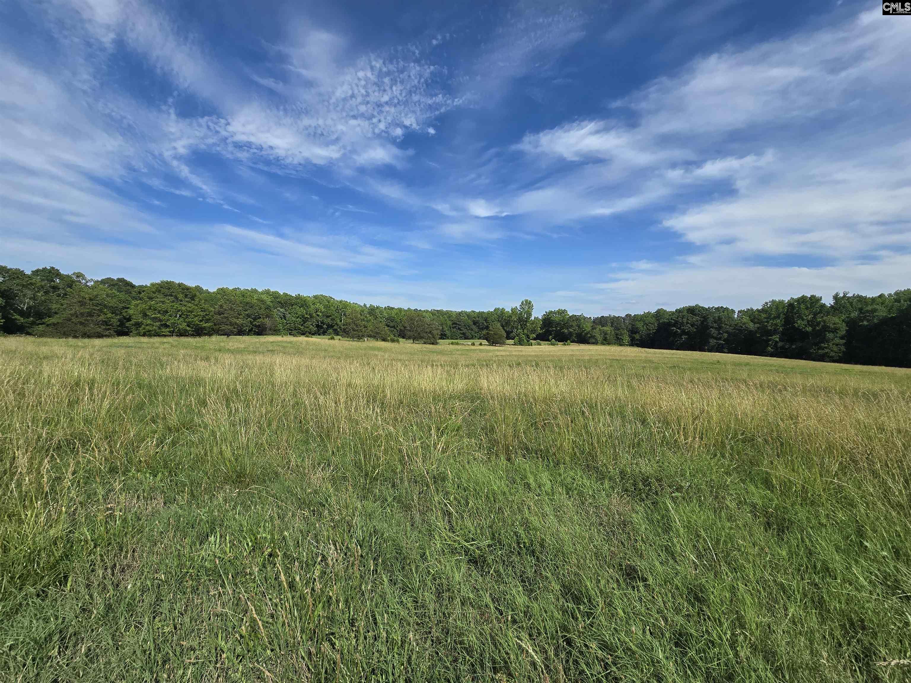 542 Pea Ridge Highway Jonesville, SC 29353