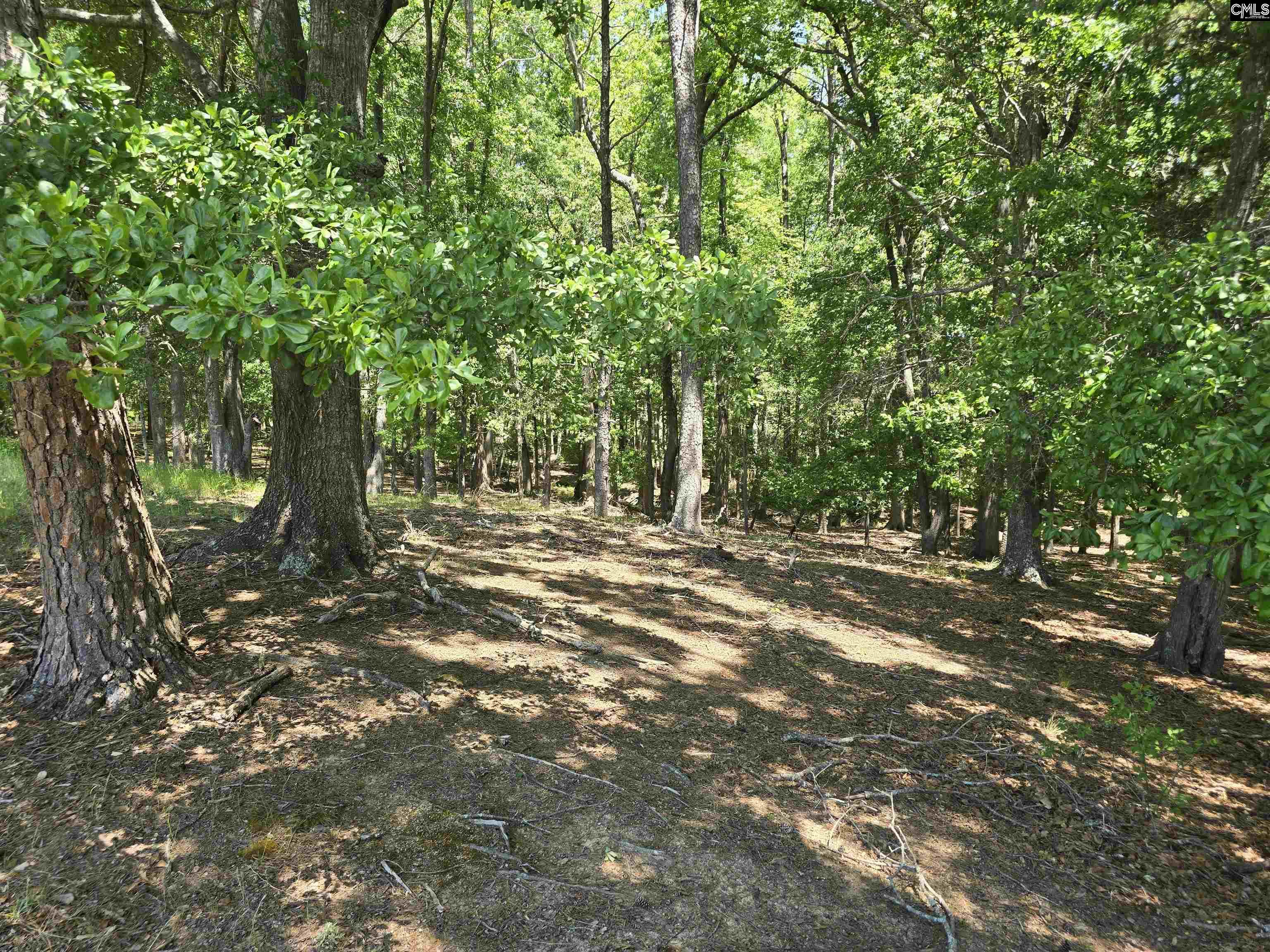 542 Pea Ridge Highway Jonesville, SC 29353