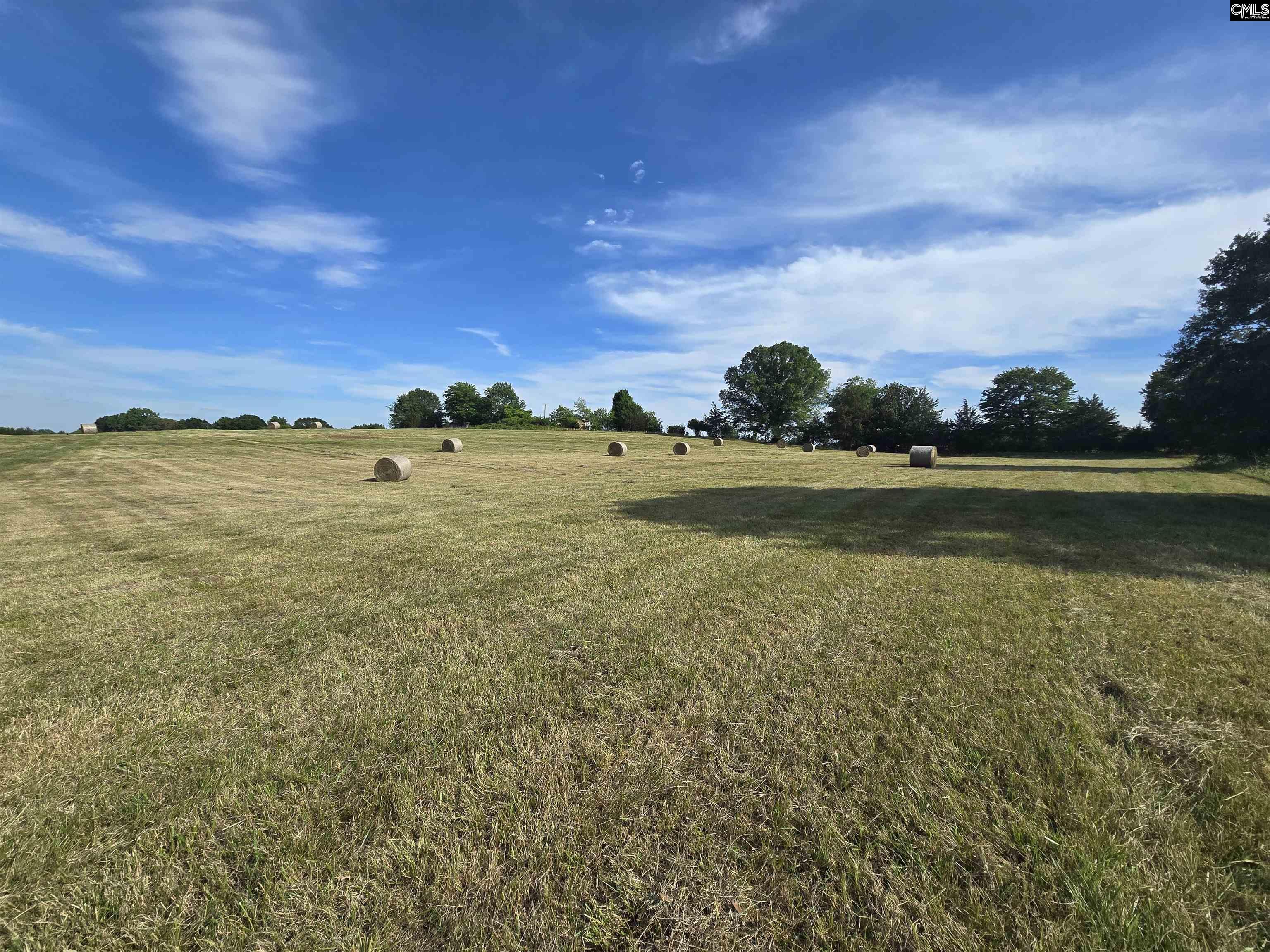 542 Pea Ridge Highway Jonesville, SC 29353