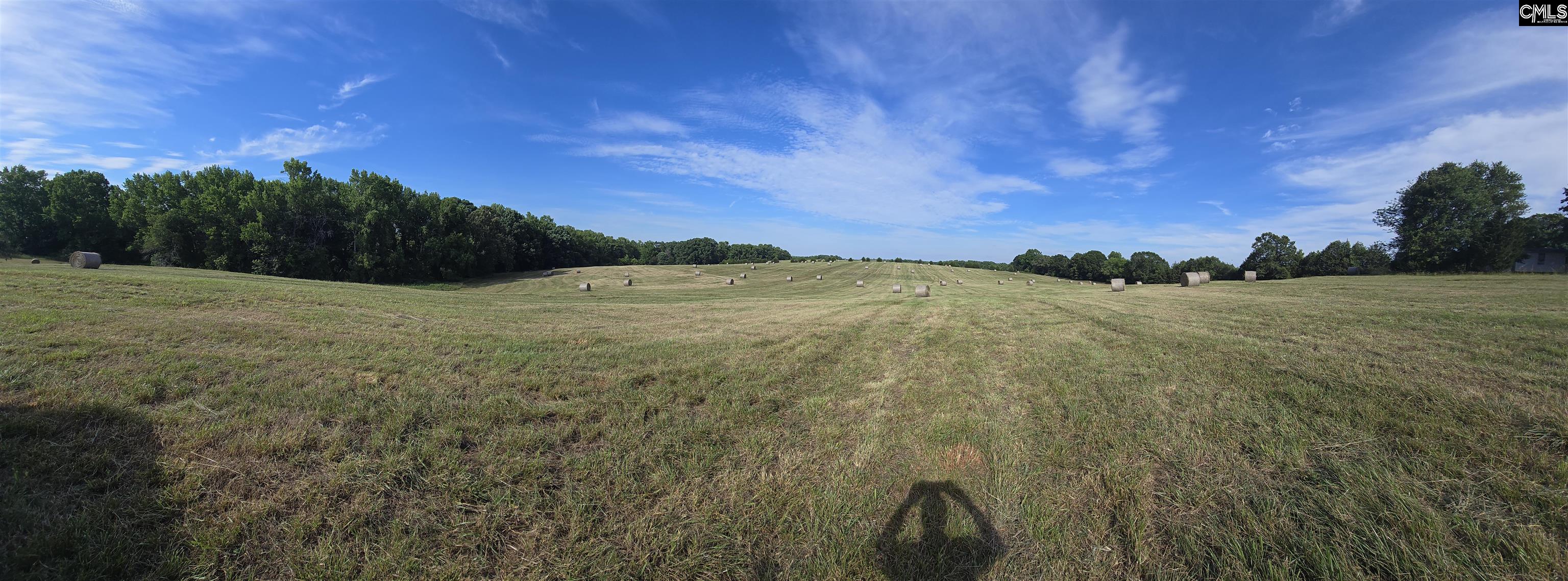 542 Pea Ridge Highway Jonesville, SC 29353