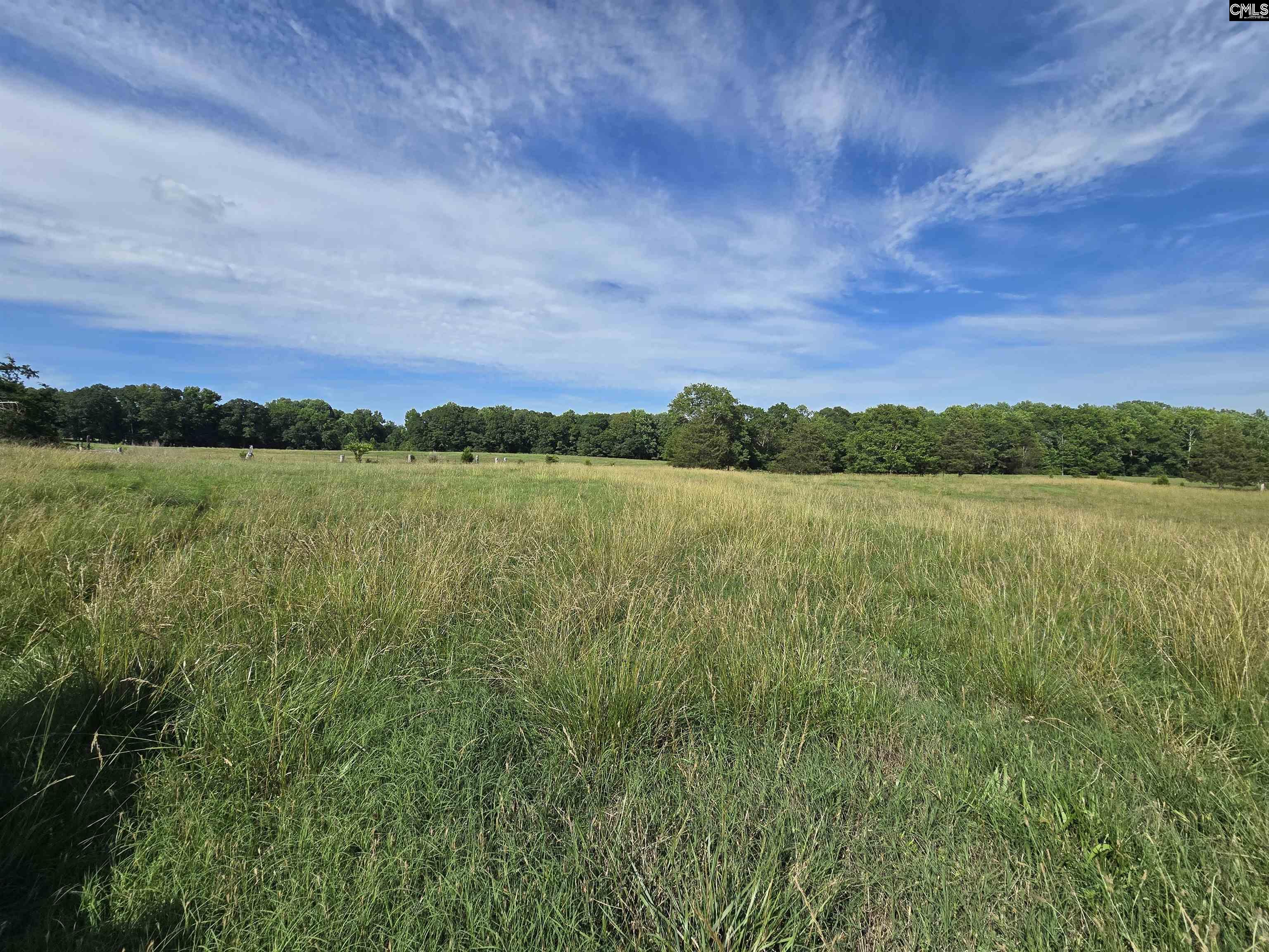 542 Pea Ridge Highway Jonesville, SC 29353