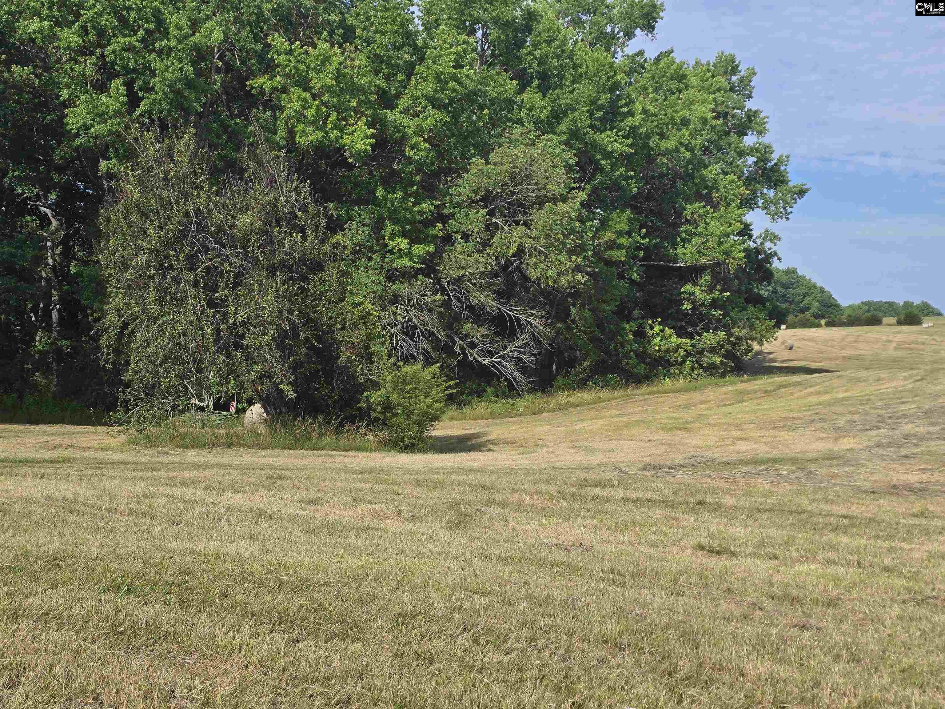 542 Pea Ridge Highway Jonesville, SC 29353