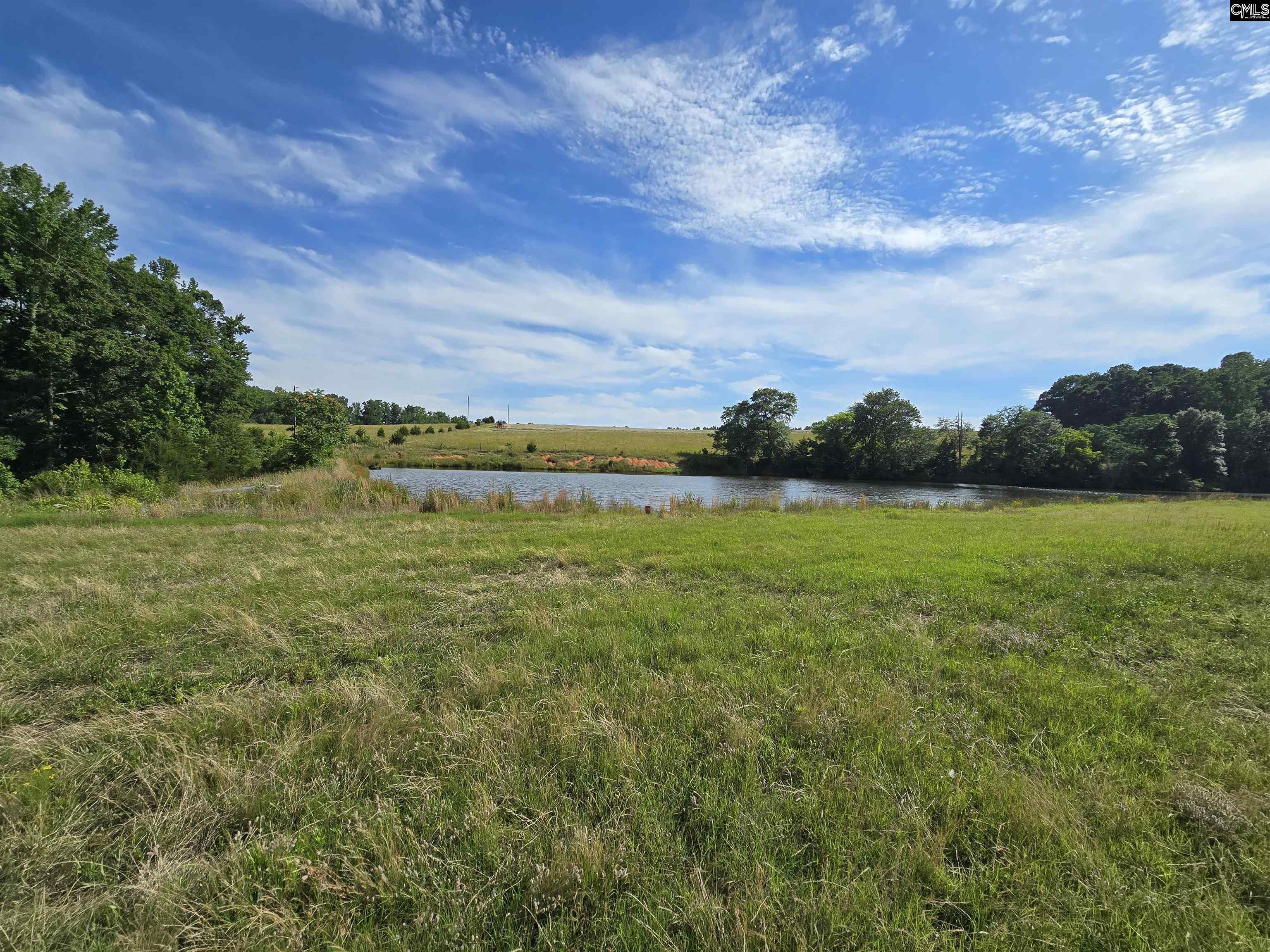 542 Pea Ridge Highway Jonesville, SC 29353