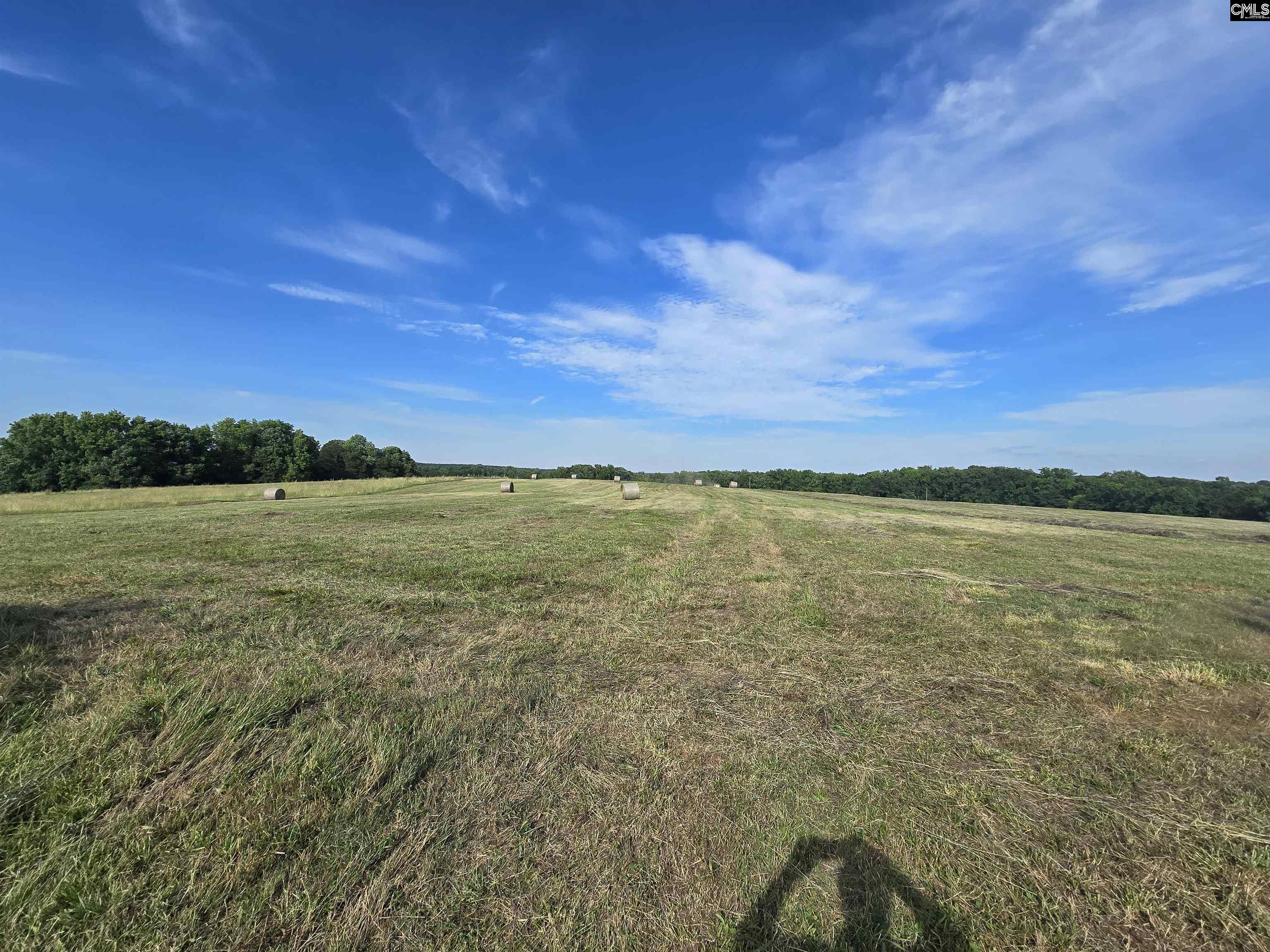 542 Pea Ridge Highway Jonesville, SC 29353