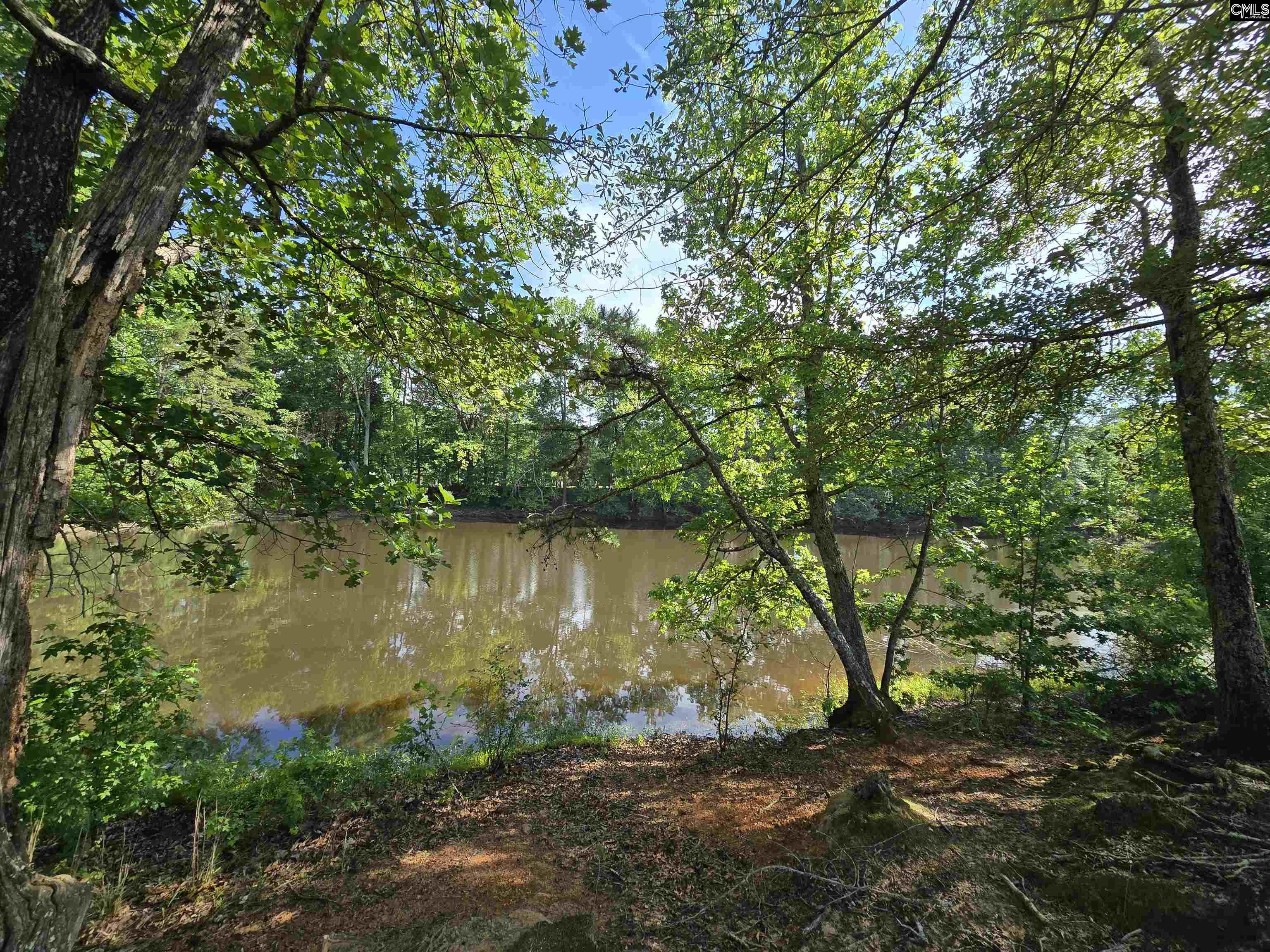 542 Pea Ridge Highway Jonesville, SC 29353