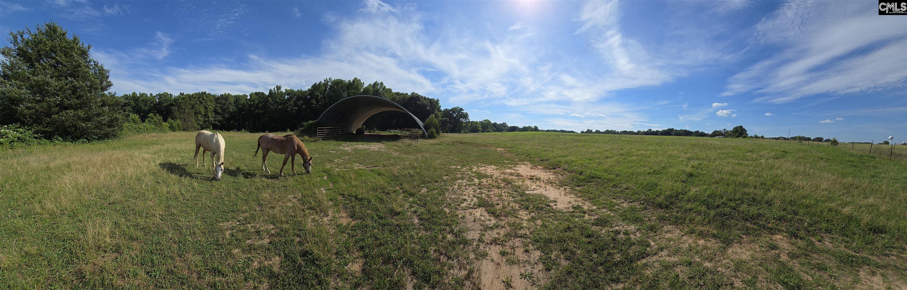 542 Pea Ridge Highway Jonesville, SC 29353