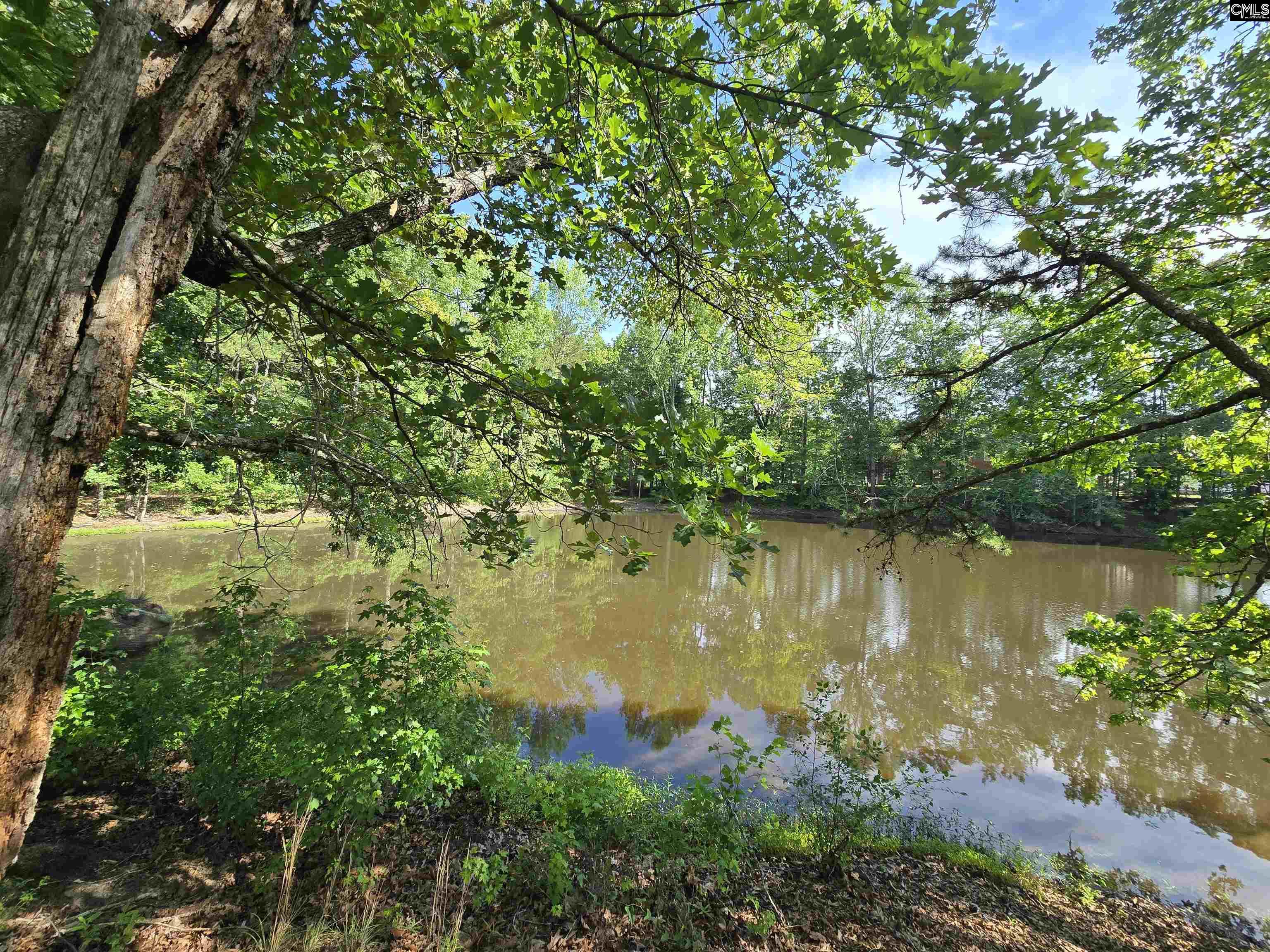 542 Pea Ridge Highway Jonesville, SC 29353