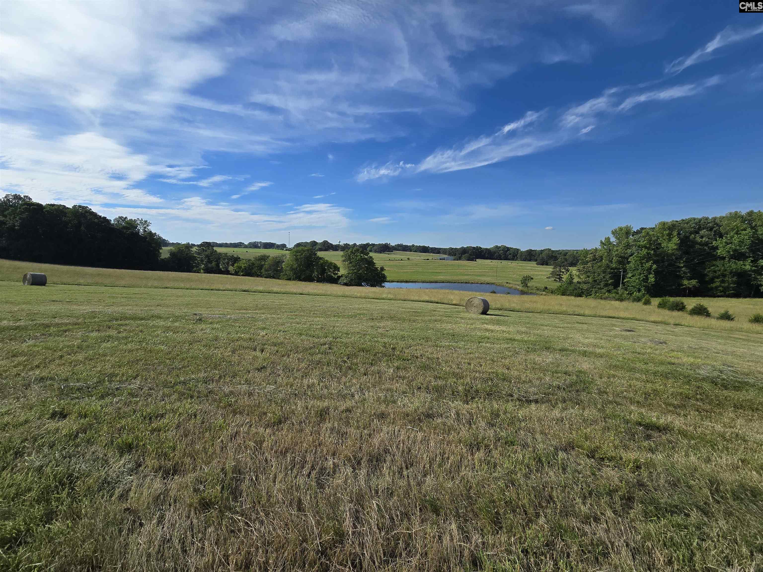 542 Pea Ridge Highway Jonesville, SC 29353