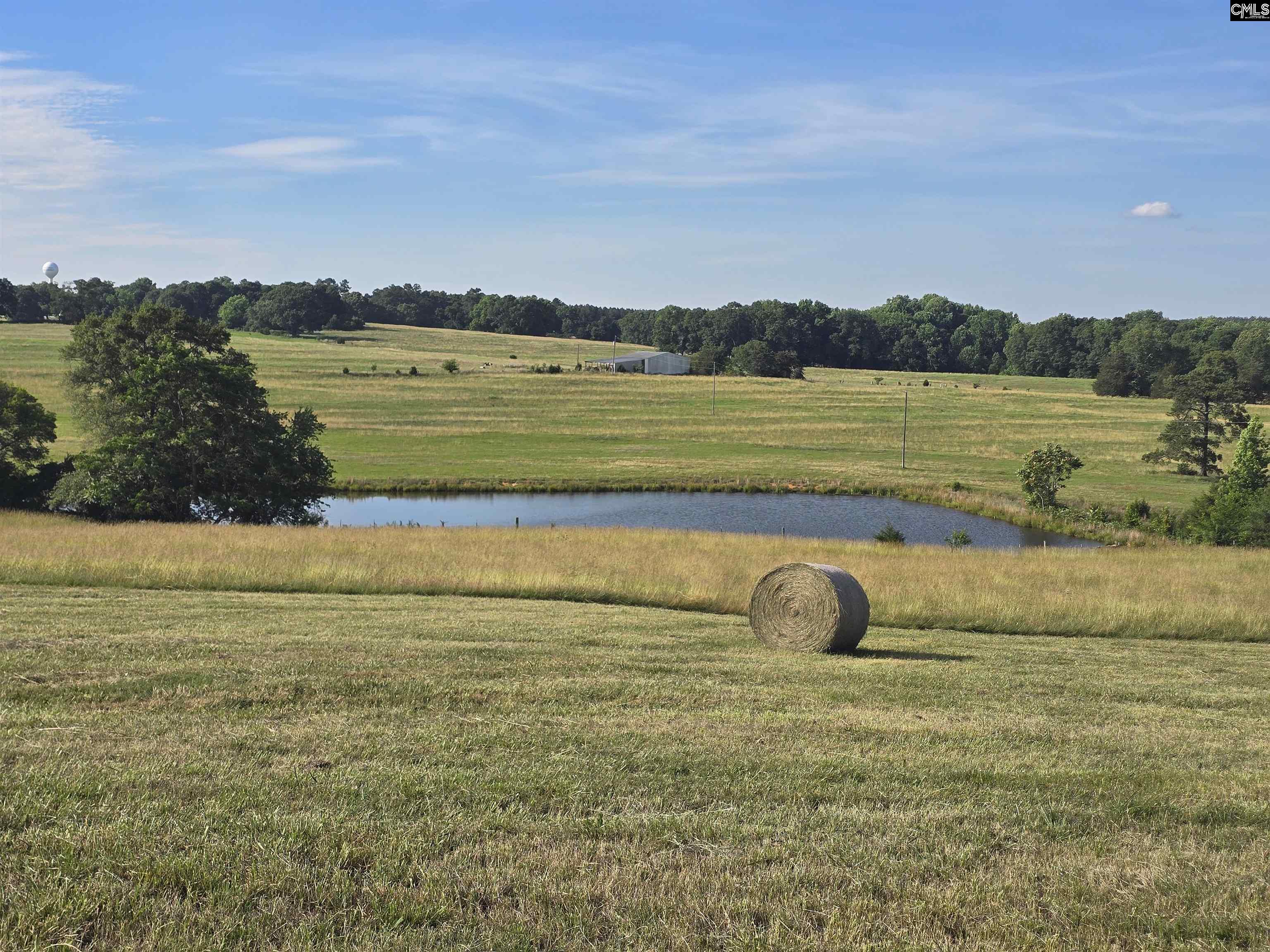 542 Pea Ridge Highway Jonesville, SC 29353