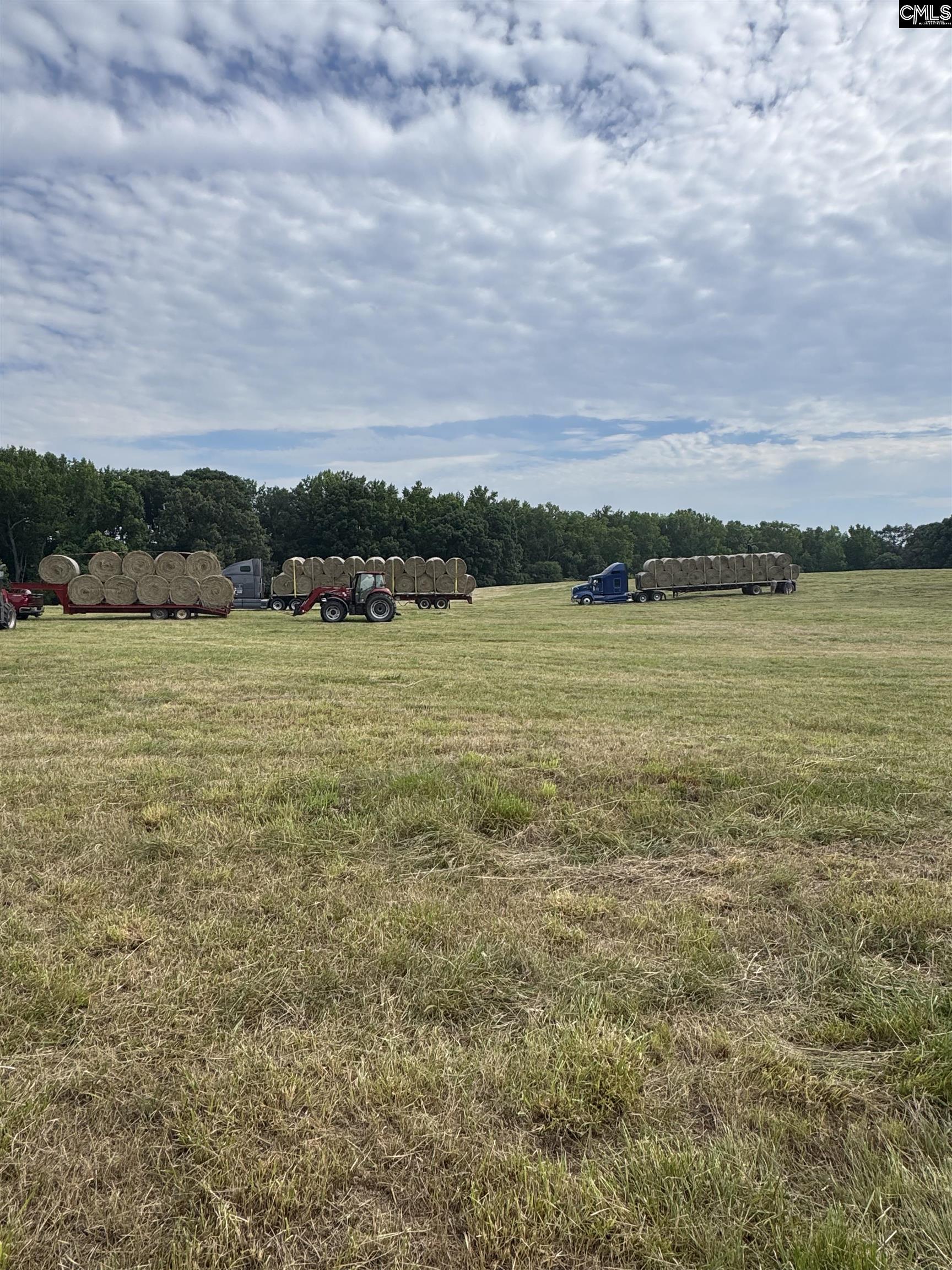 542 Pea Ridge Highway Jonesville, SC 29353