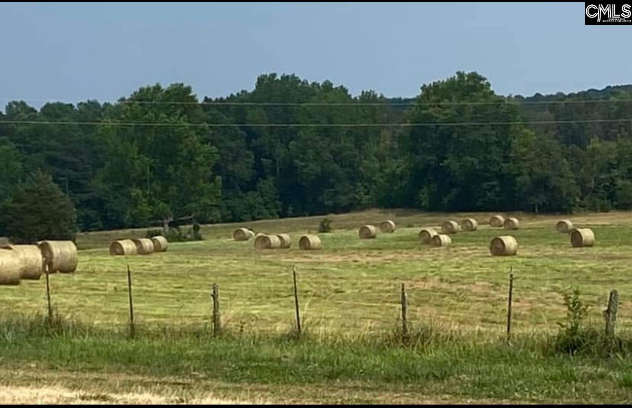 542 Pea Ridge Highway Jonesville, SC 29353
