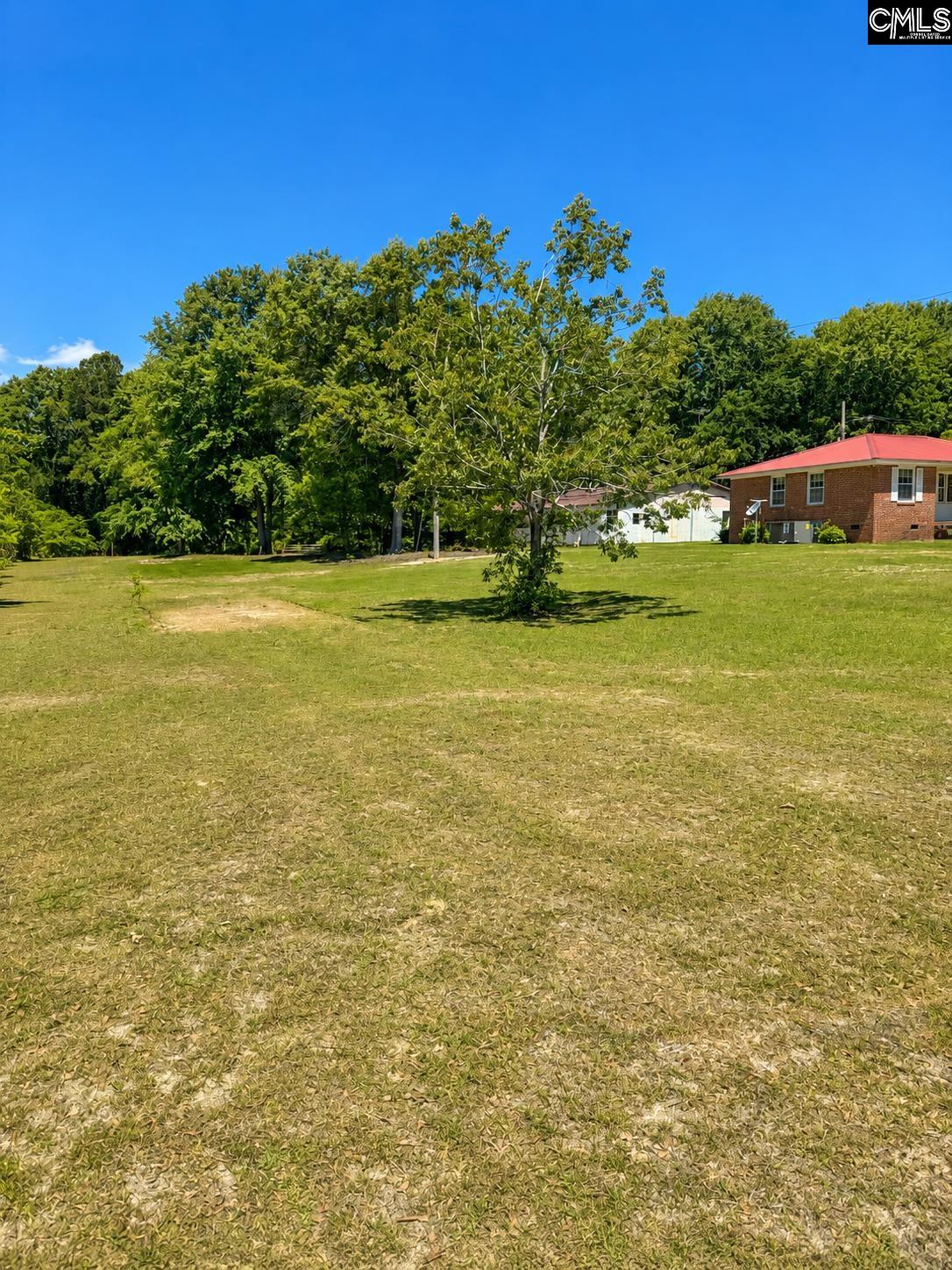 174 Chevy Lane Orangeburg, SC 29115