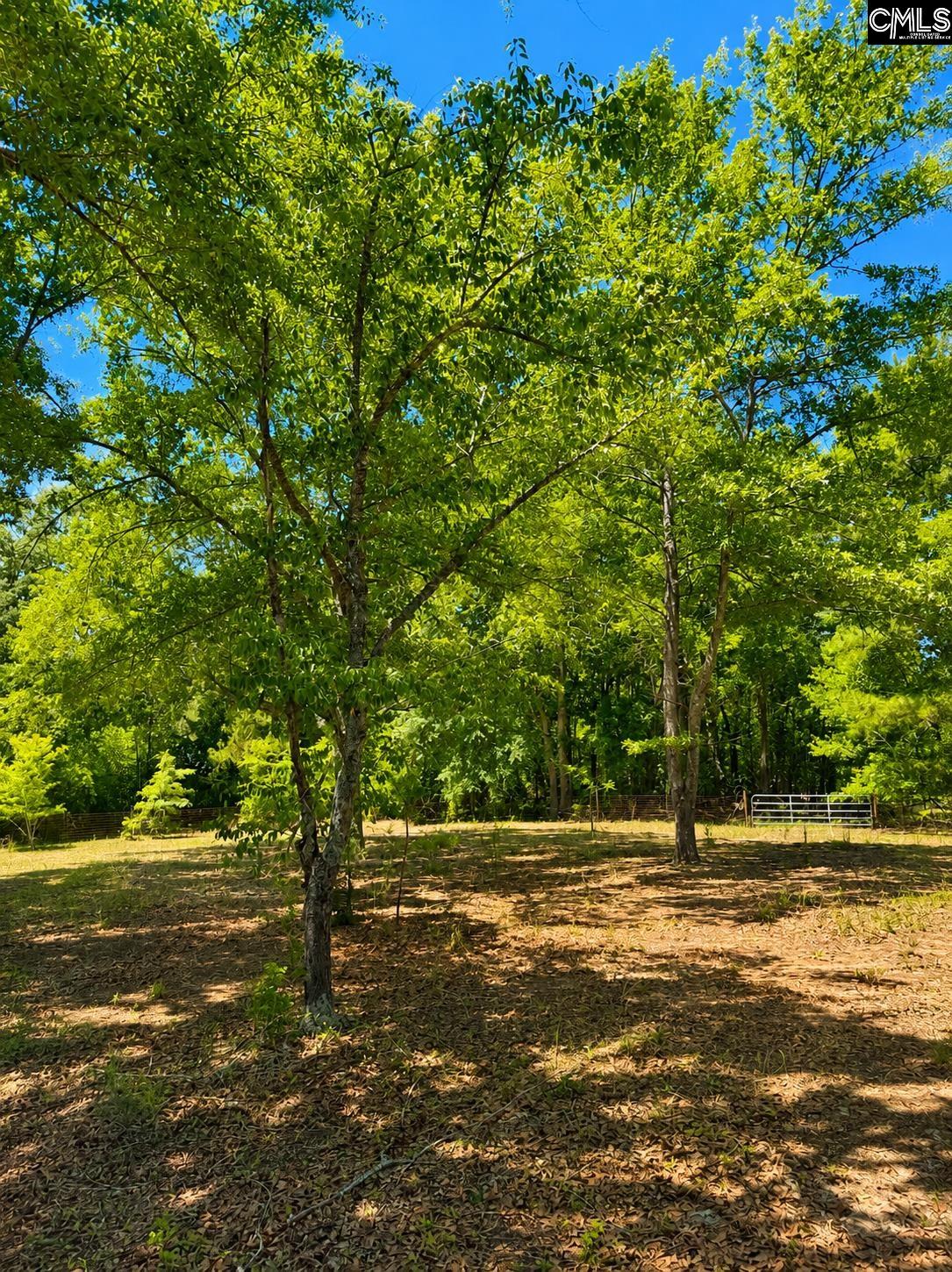 174 Chevy Lane Orangeburg, SC 29115