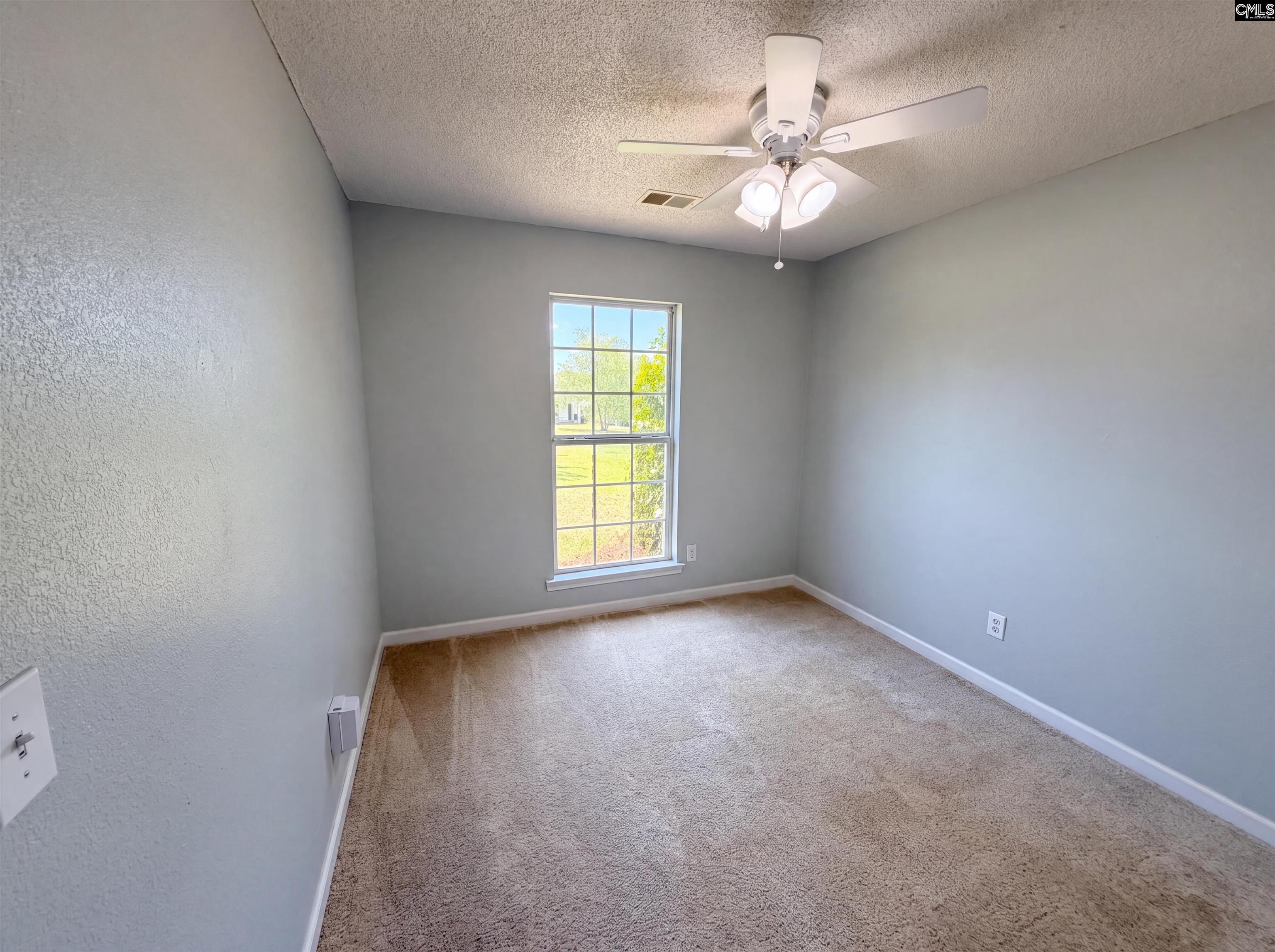 3 Summer Branch Court Irmo, SC 29063