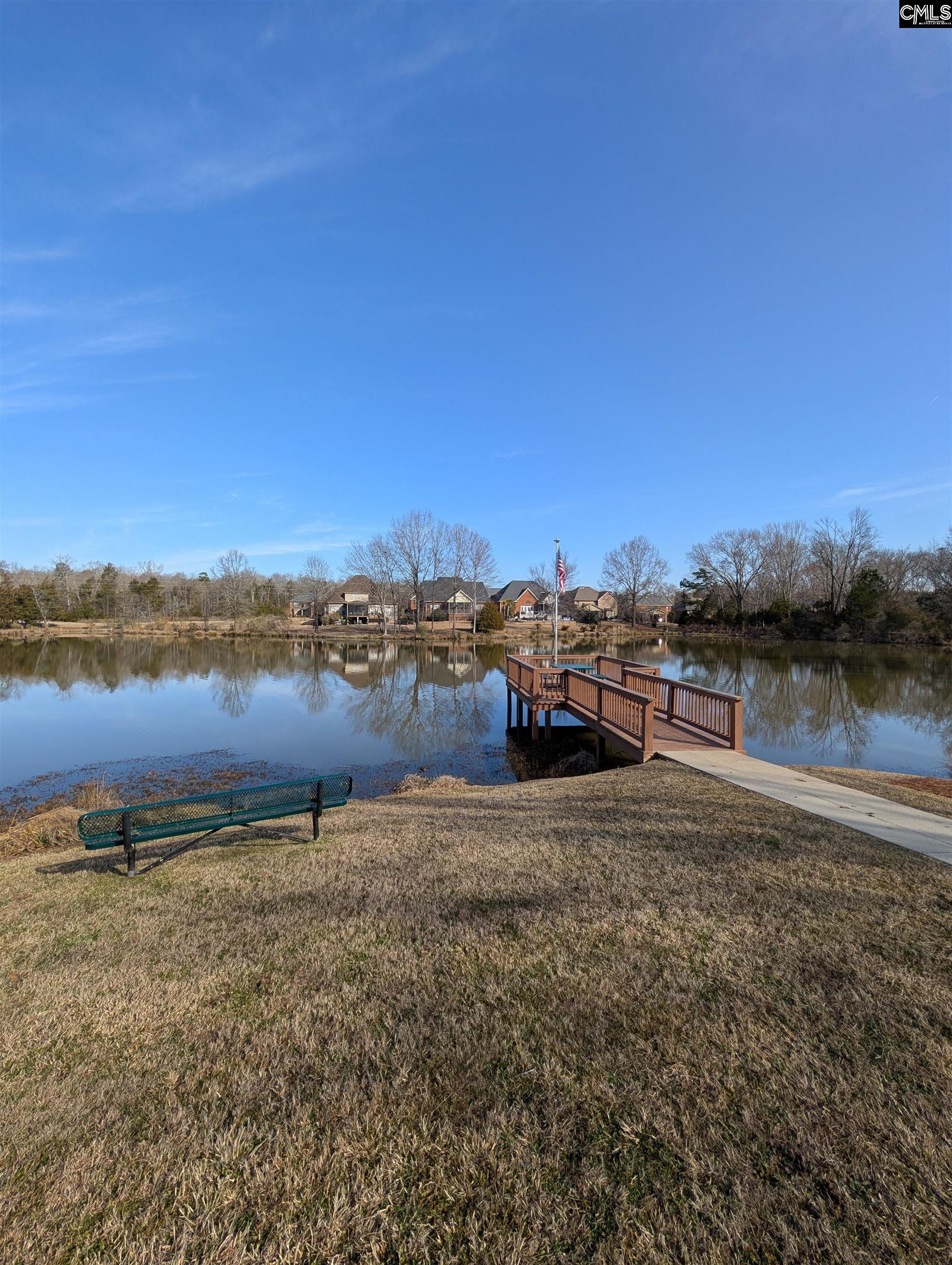 646 Village Market Drive Chapin, SC 29036