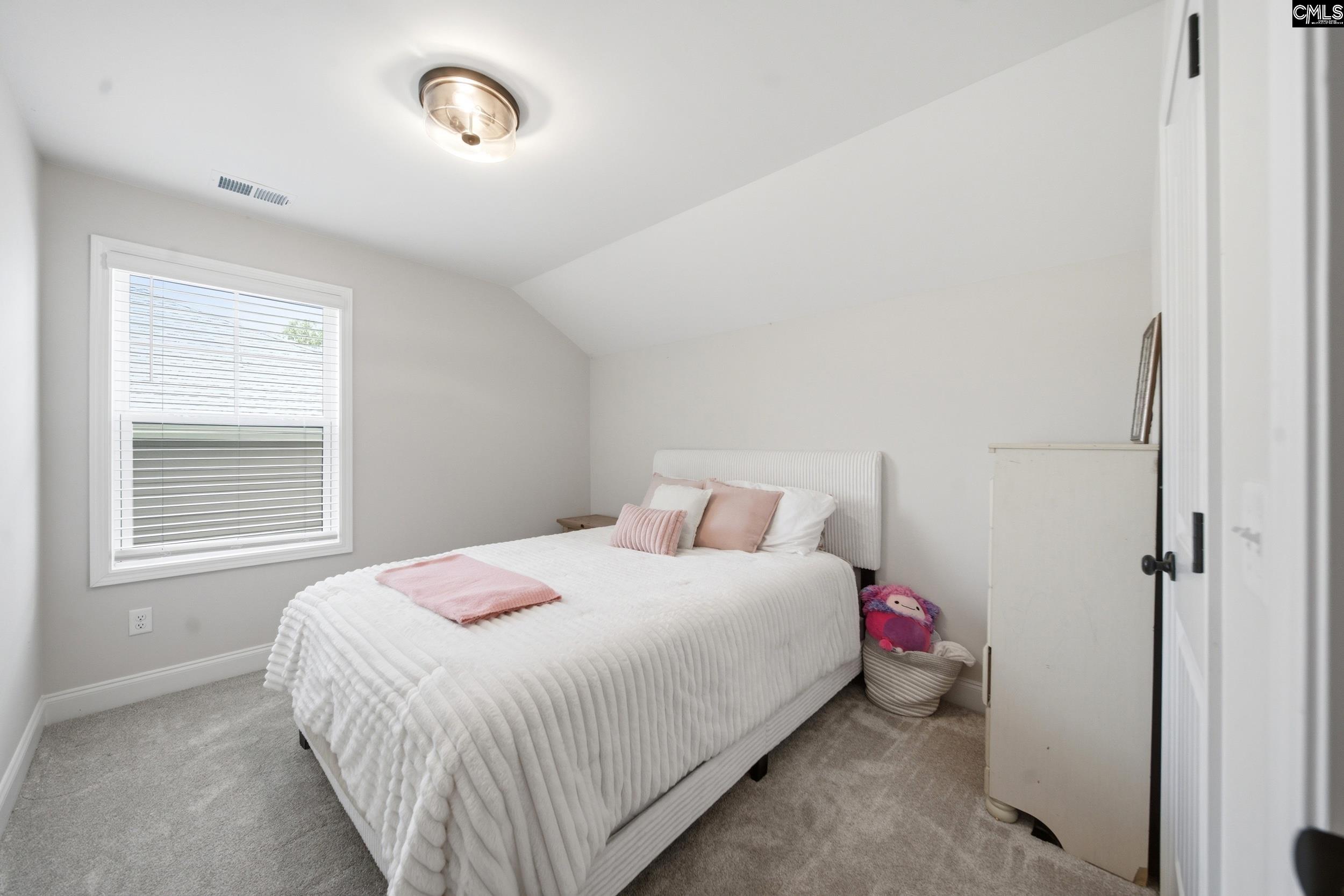 149 Collins Cove Drive Chapin, SC 29036