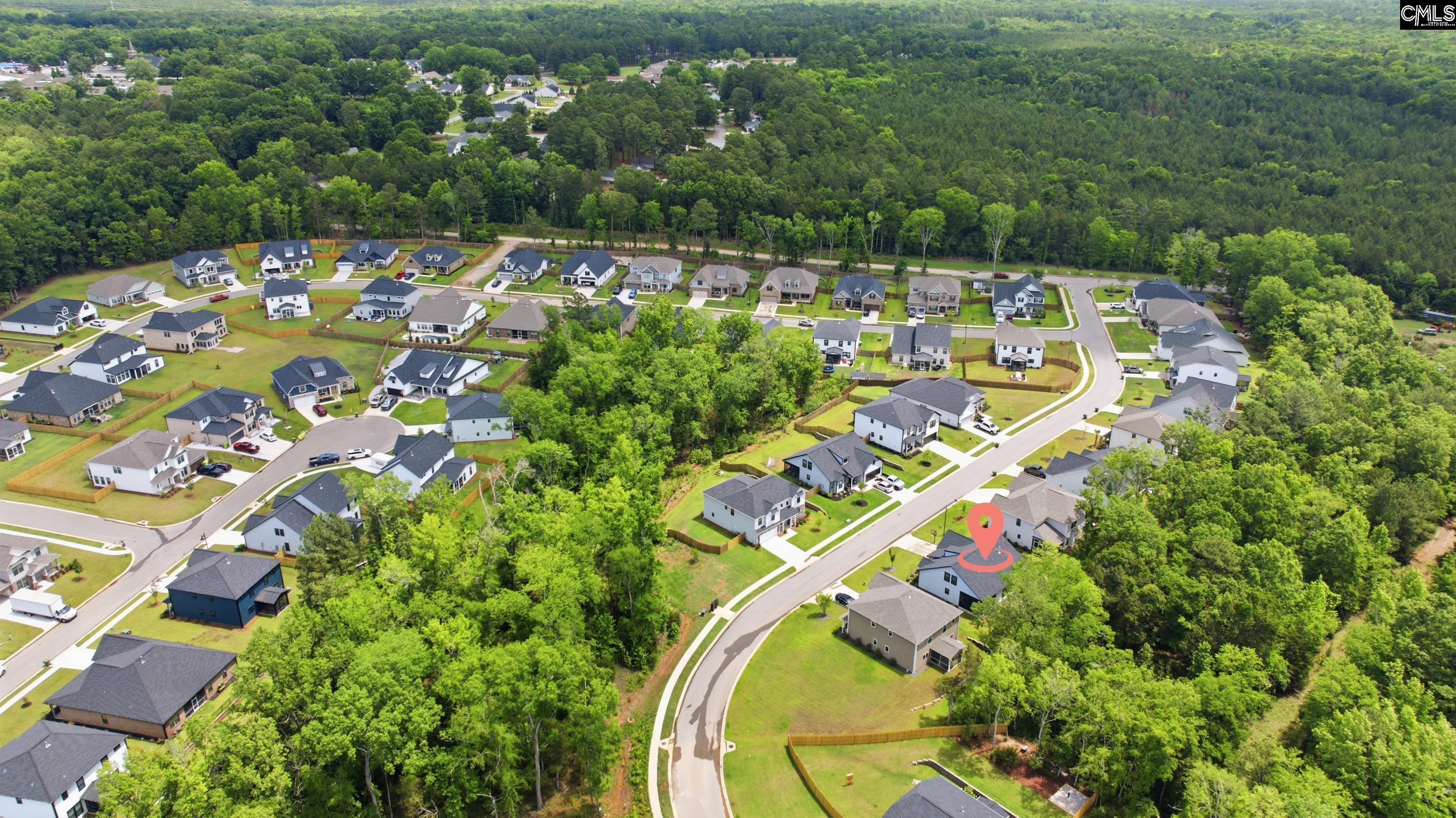 149 Collins Cove Drive Chapin, SC 29036