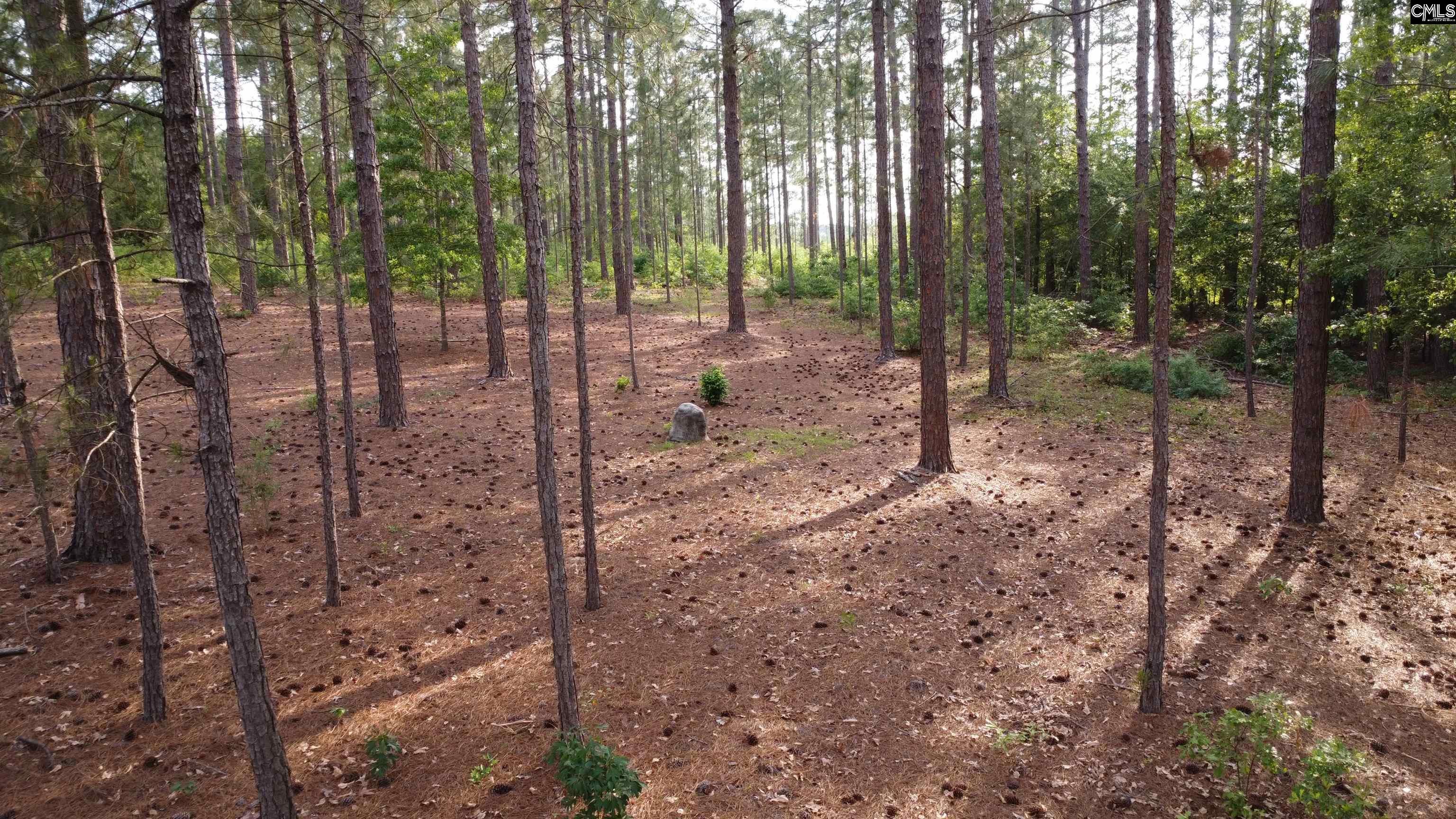 Little Creek Drive Leesville, SC 29070