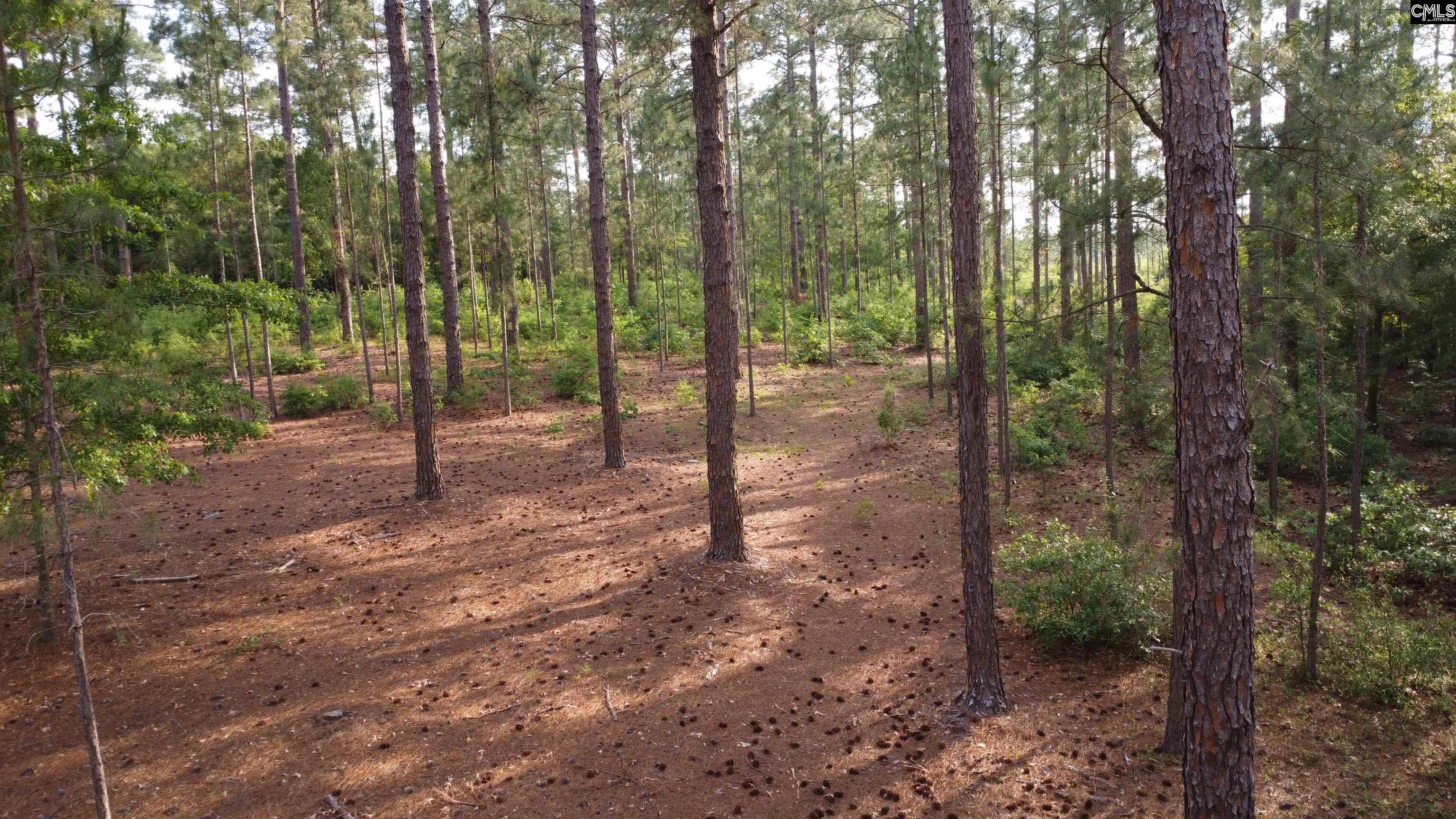 Little Creek Drive Leesville, SC 29070