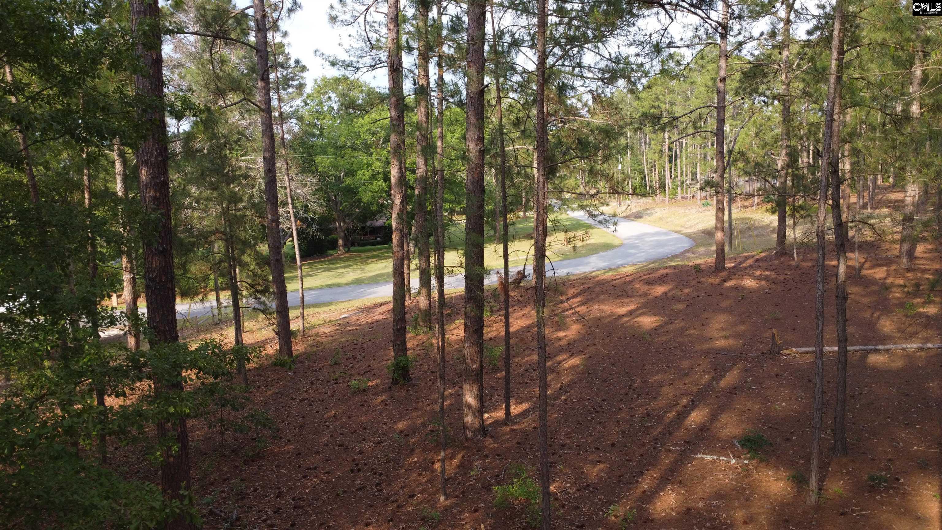 Little Creek Drive Leesville, SC 29070