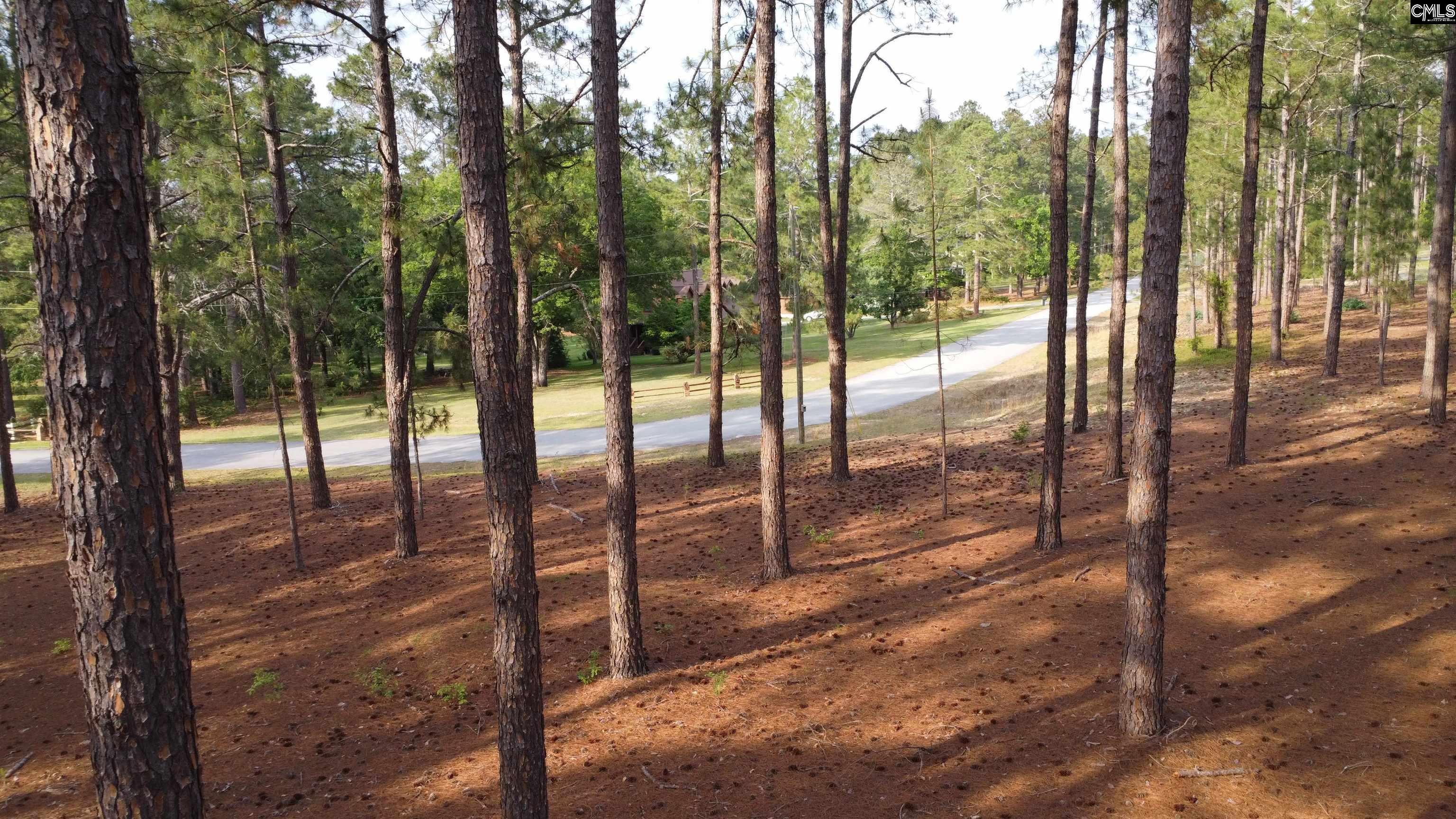 Little Creek Drive Leesville, SC 29070
