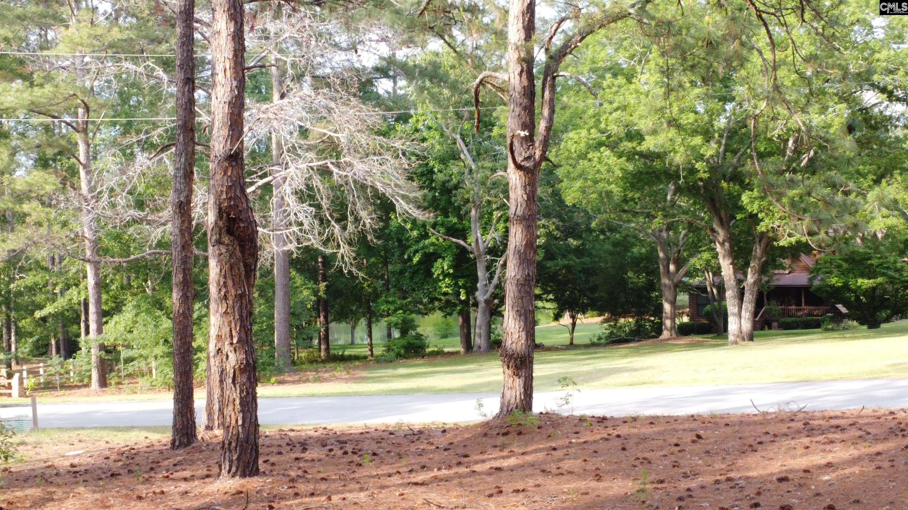 Little Creek Drive Leesville, SC 29070