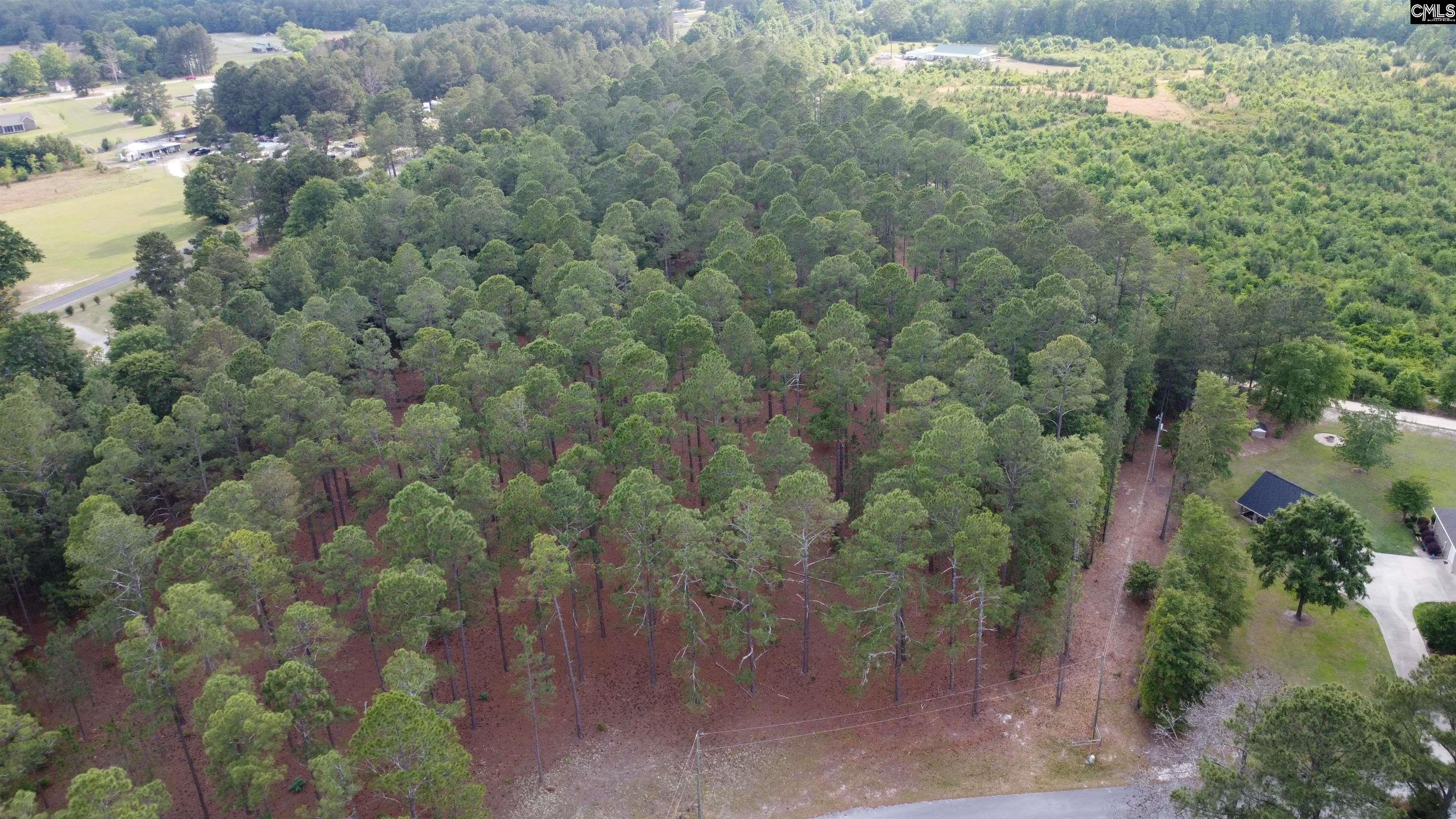 Little Creek Drive Leesville, SC 29070