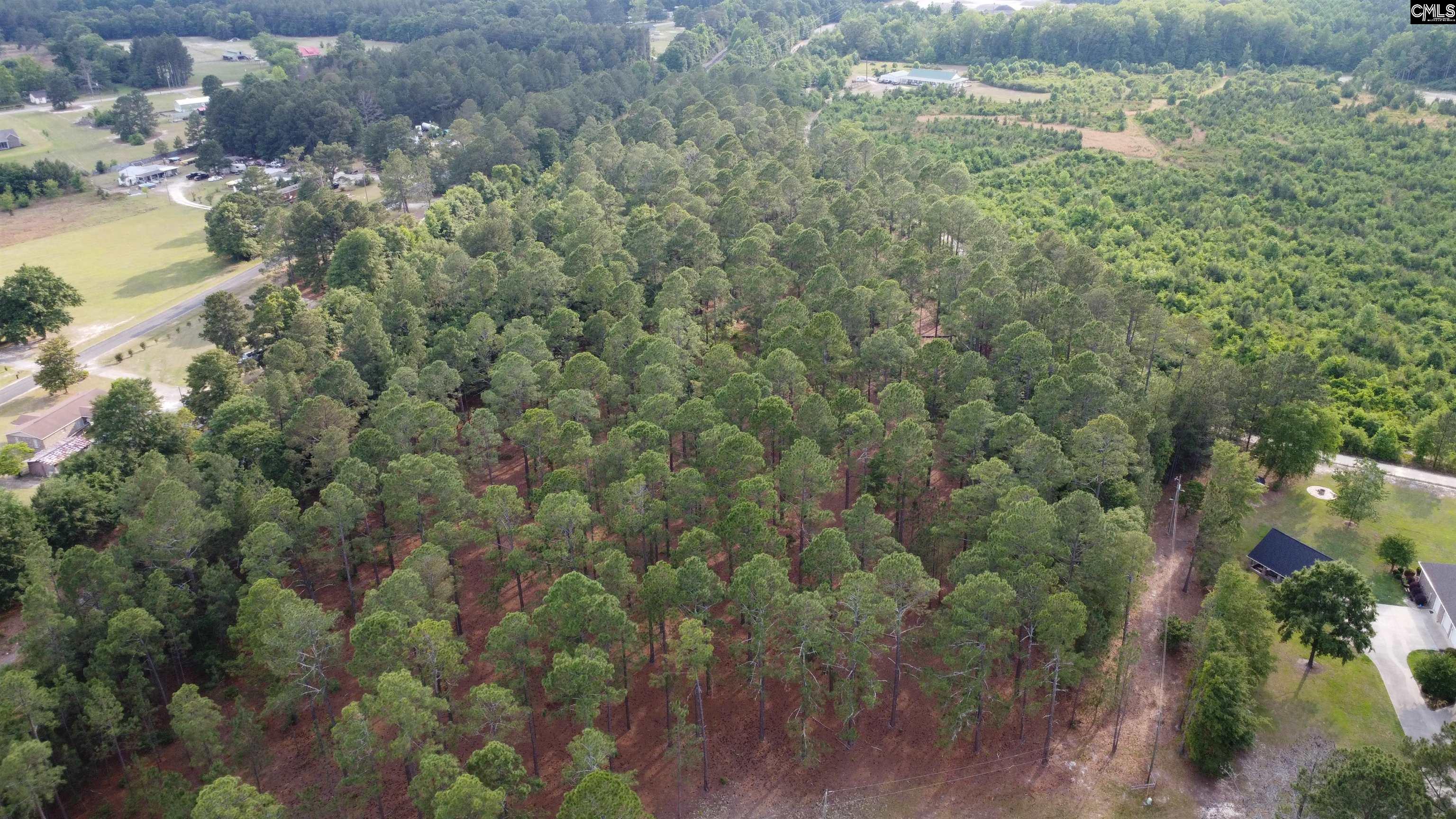 Little Creek Drive Leesville, SC 29070